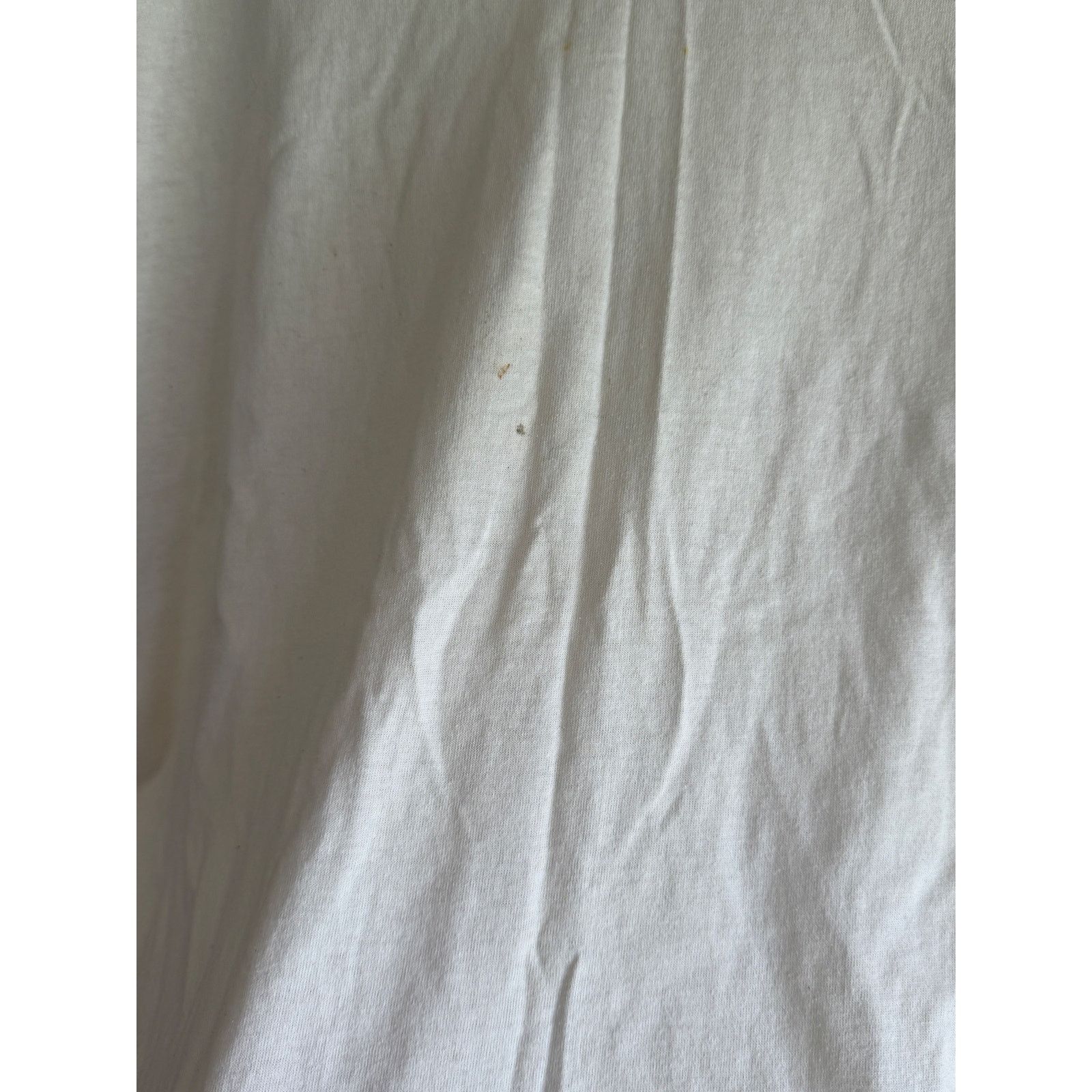 Hanes Vintage ACN Eagle Graphic Tee Single Stitch XXL Size US XXL / EU 58 / 5 - 5 Thumbnail