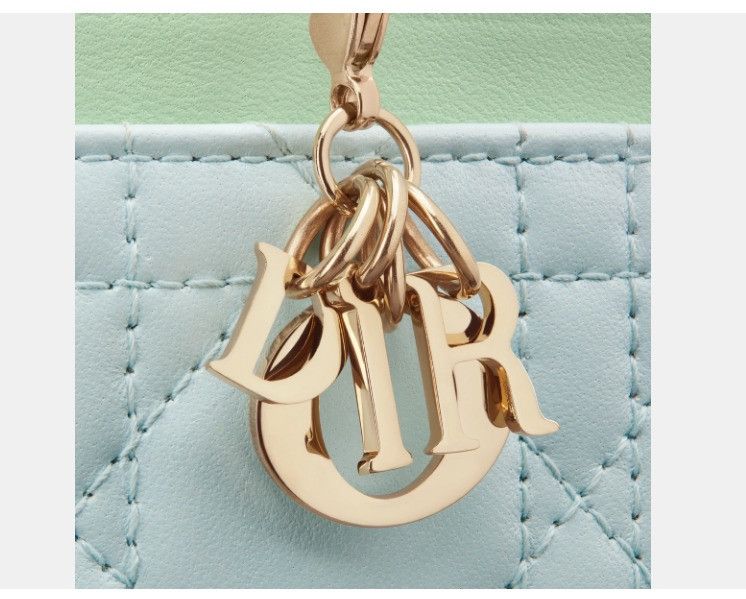 Dior o1w1db10325 Size: OS / S0974ON Freesia Card Holder Size ONE SIZE - 3 Thumbnail