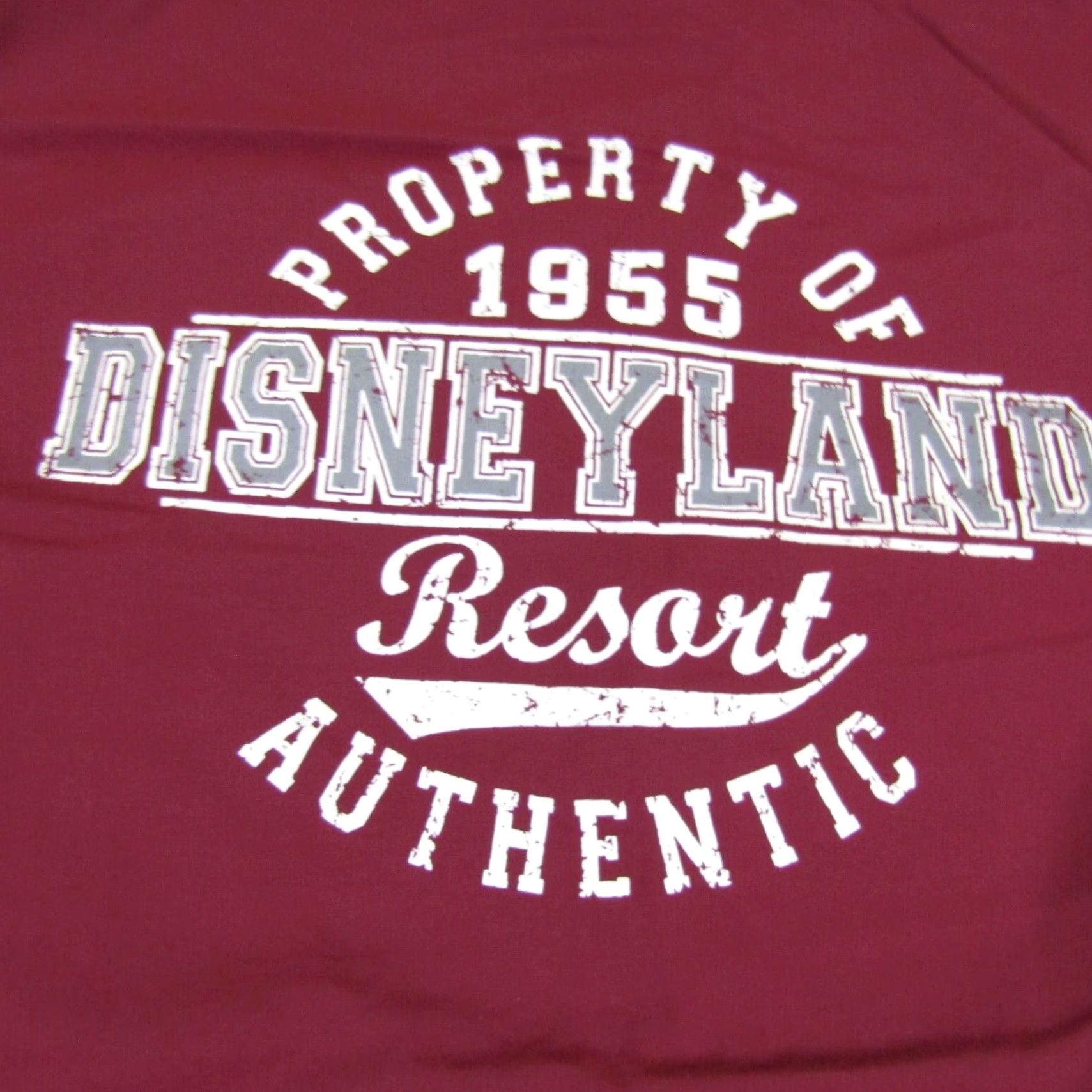 Disney Disney Windbreaker Jacket Mens Large Red Full Zip Outdoor Coat Size US L / EU 52-54 / 3 - 7 Thumbnail