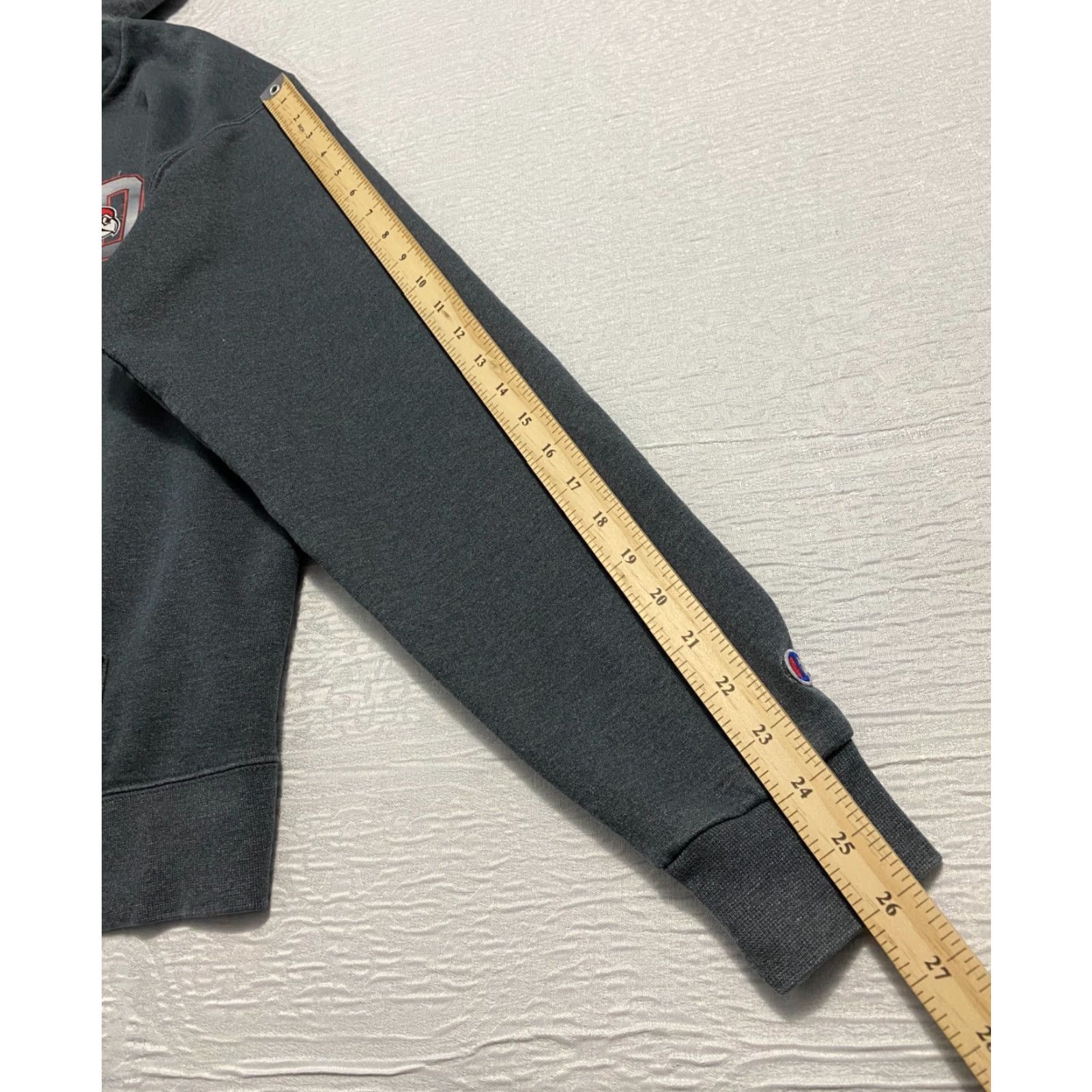 Champion Champion Sweatshirt Mens Size M Gray Eco Fleece Hooded Redbirds Illinois State Size US M / EU 48-50 / 2 - 6 Thumbnail