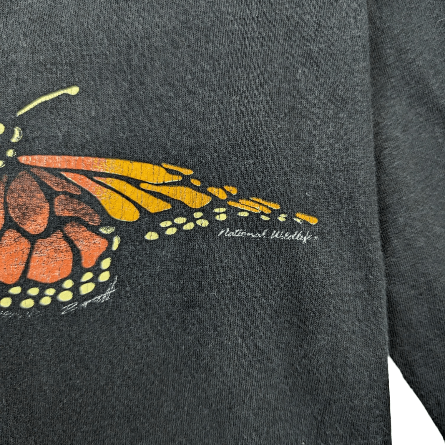 Vintage NATIONAL WILDLIFE Butterfly Animal Tee Long Sleeve T-Shirt Size US S / EU 44-46 / 1 - 6 Thumbnail