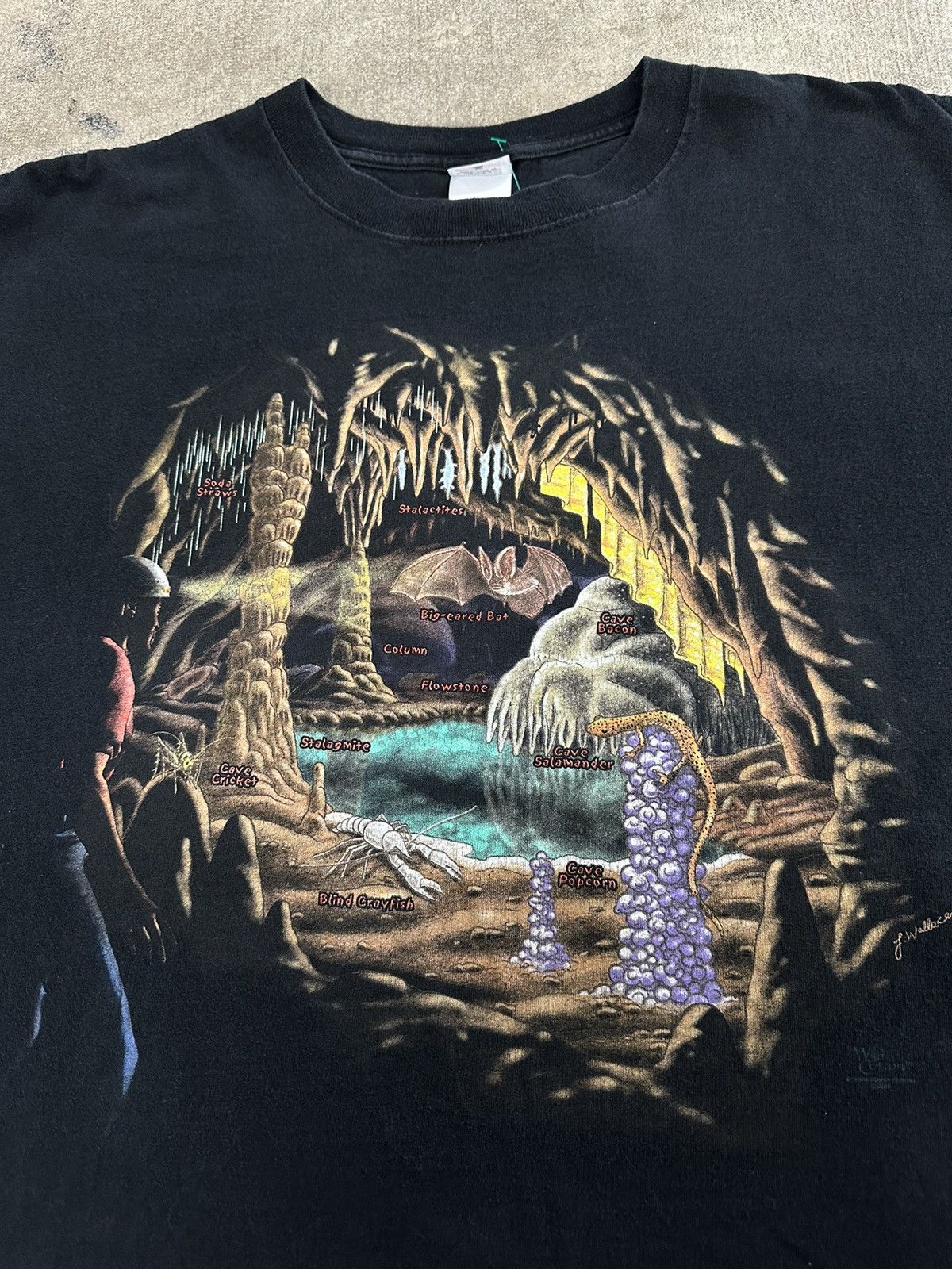 Anvil × Vintage Vintage 90s Wild Cotton Bat Animal Cave T-Shirt Size US XL / EU 56 / 4 - 4 Thumbnail