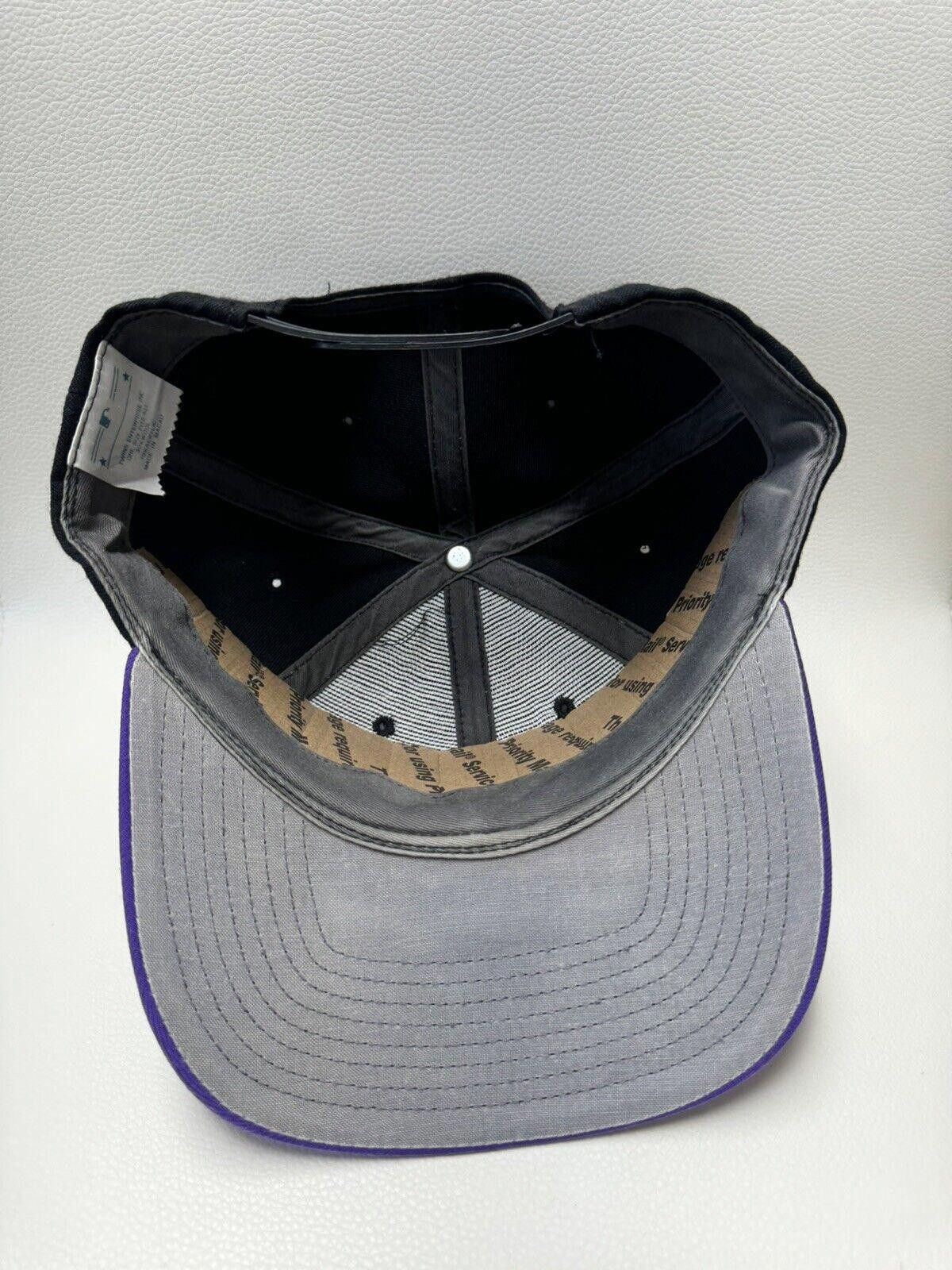 MLB × Vintage Vintage Wool MLB Tampa Devil Rays SnapBack Hat Size ONE SIZE - 5 Thumbnail