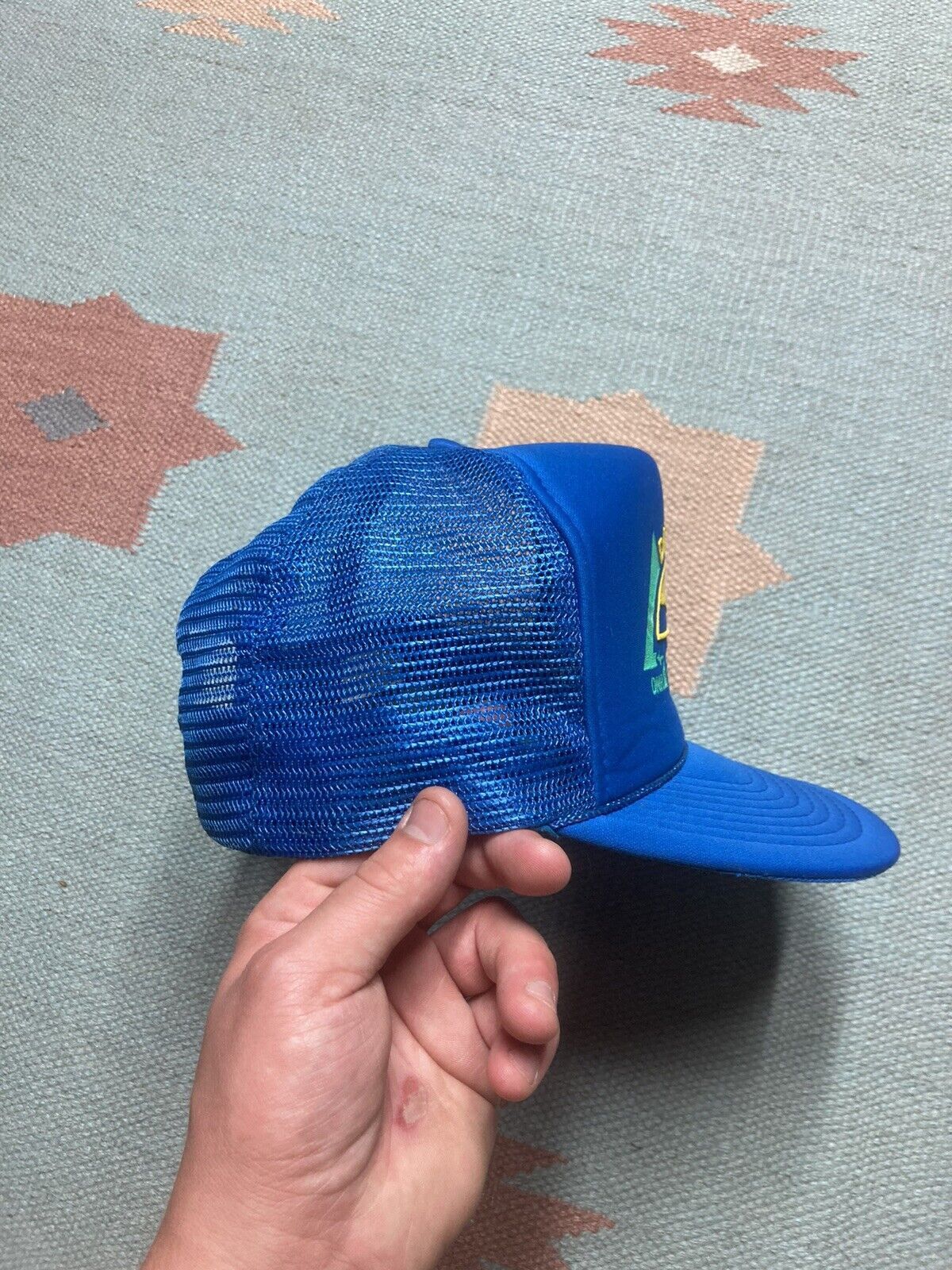 Vintage VTG trucker hat day in the park Michigan DNR state parks Size ONE SIZE - 8 Thumbnail
