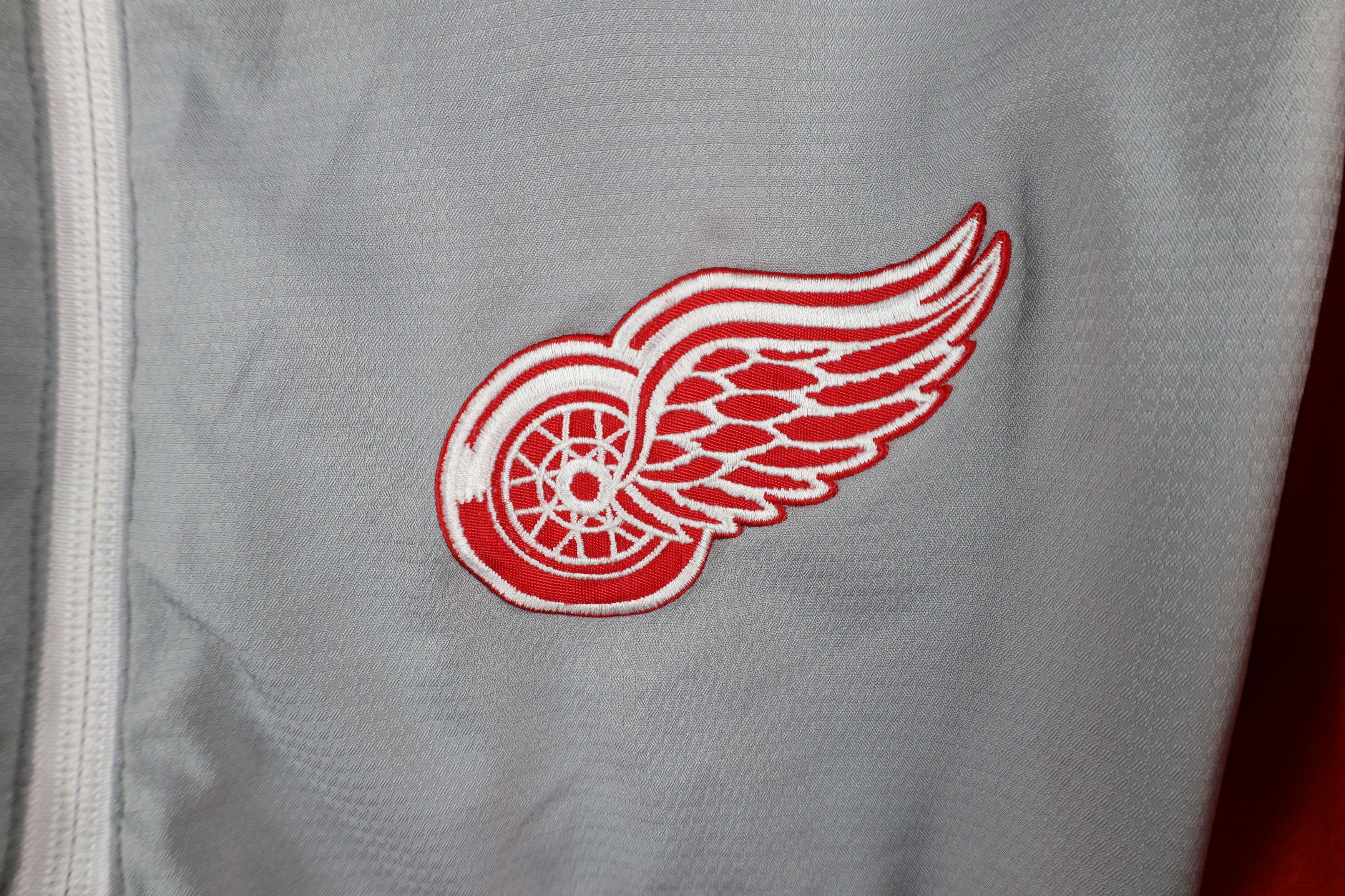 Reebok × Vintage Reebok Center Ice Red Wings Hockey Half Zip Pullover Jacket Size US L / EU 52-54 / 3 - 4 Thumbnail
