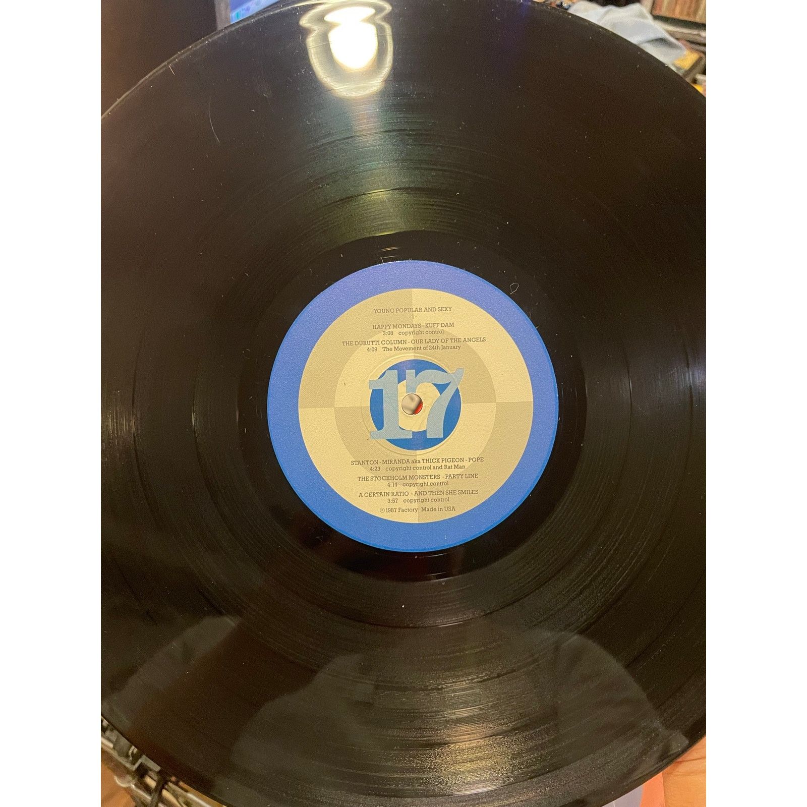 INTENTIONALLY BLANK Young Popular And Sexy LP compilation new wave synth indie Size ONE SIZE - 3 Thumbnail