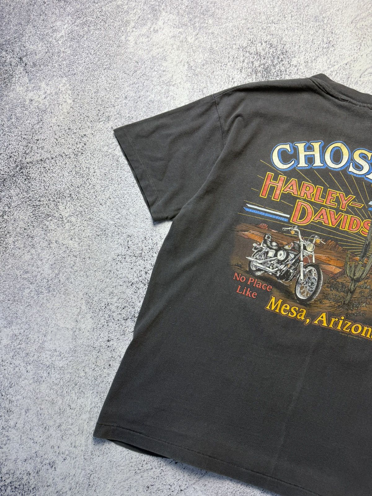 Harley Davidson Vintage Harley Davidson 1993 USA Chosa’s Mesa Arizona Y2K Size US L / EU 52-54 / 3 - 18 Thumbnail