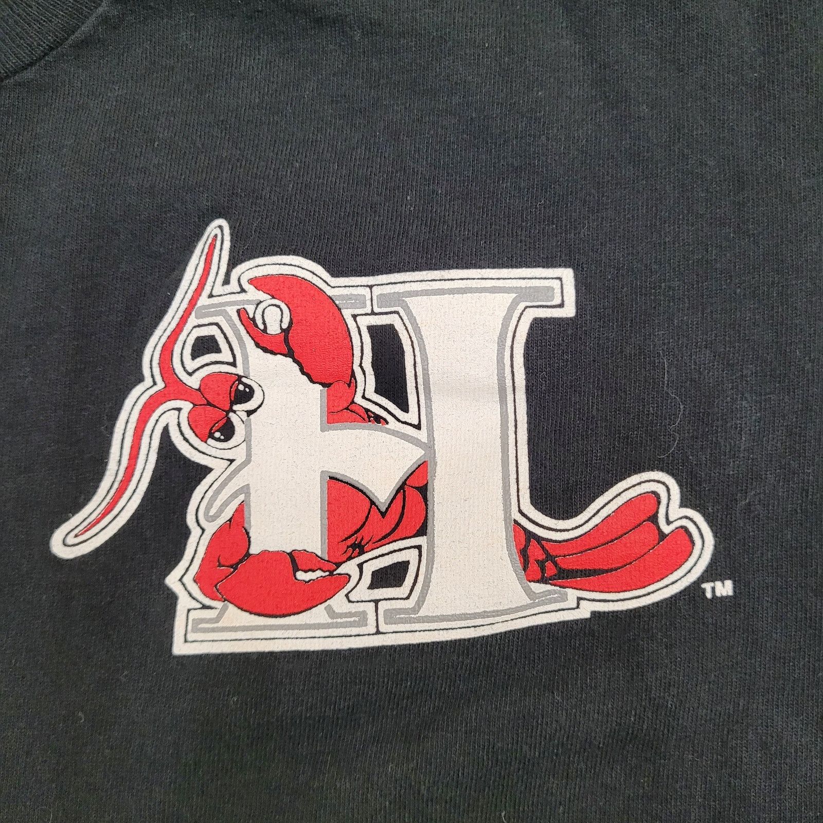 Majestic Vintage 1993 Hickory Crawdads Shirt M/L 21x26 Majestic USA Size US L / EU 52-54 / 3 - 13 Thumbnail
