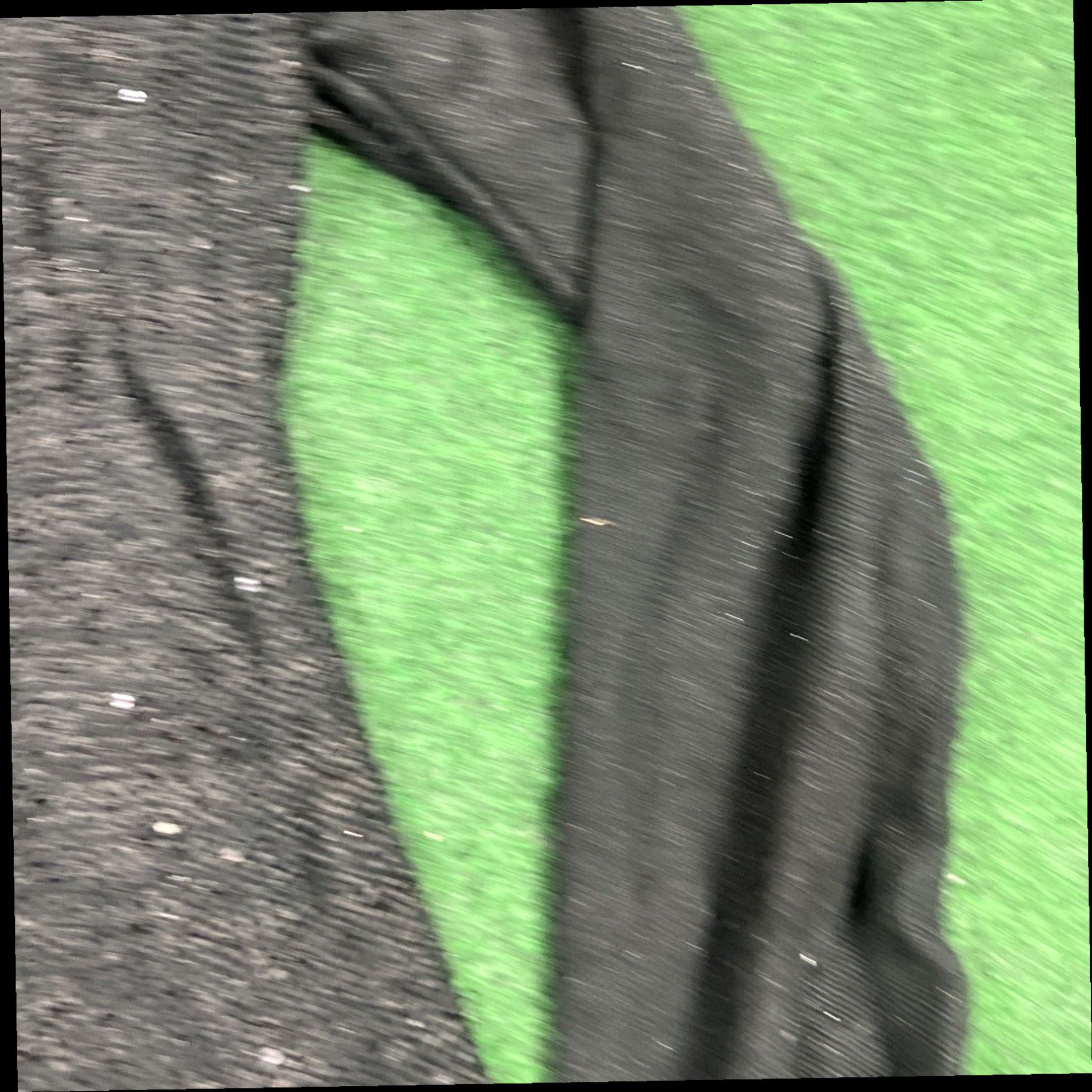Charter Club CHARTER CLUB Sweater Size XL Black With Sequin Design Luxury Soft Size XL / US 12-14 / IT 48-50 - 4 Thumbnail