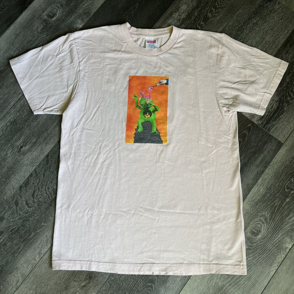 Supreme Mike Hill Brains Tee Peach SS17 Short Sleeve T Shirts