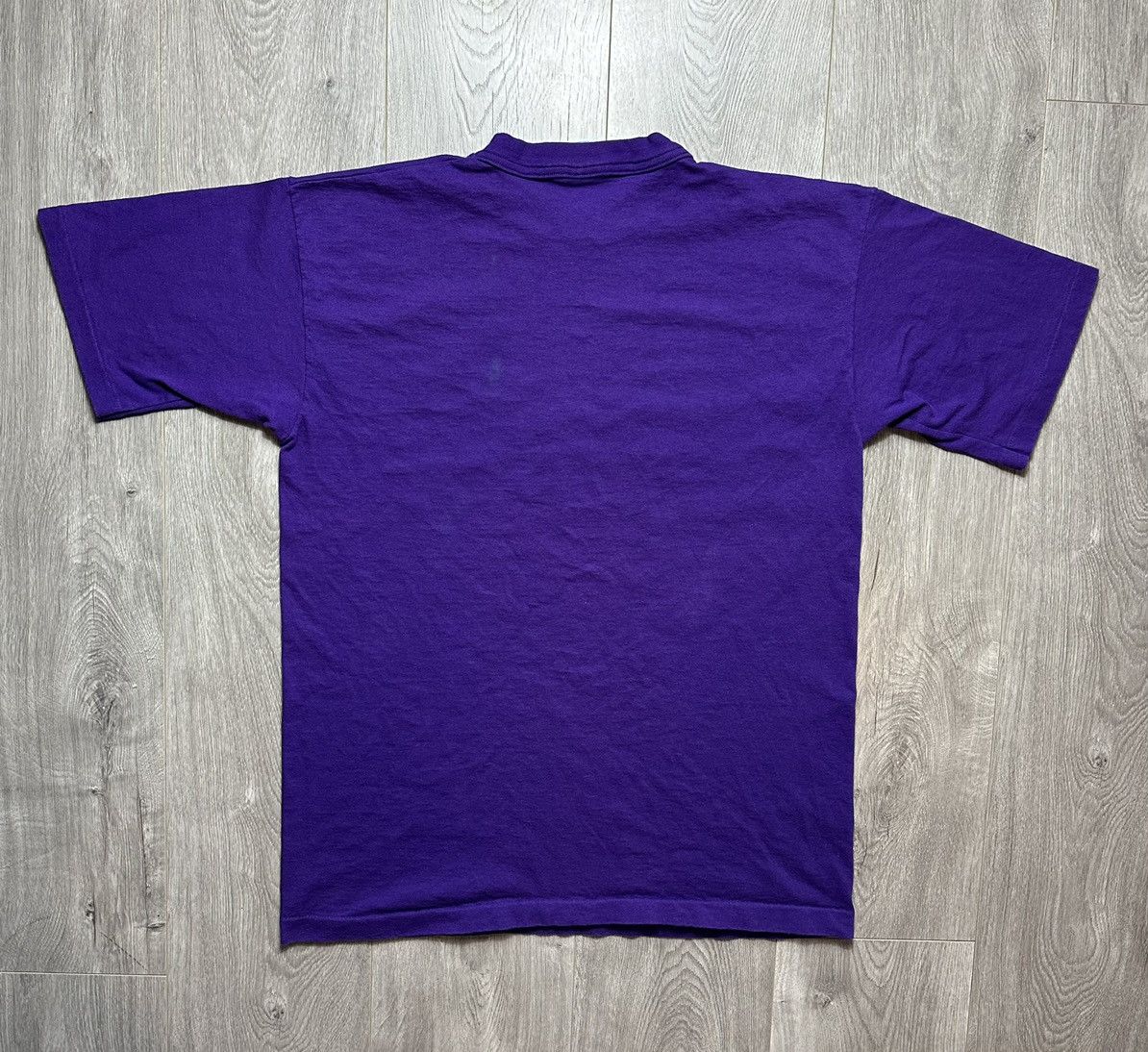 NBA × Salem Sportswear × Vintage Vintage Charlotte Hornets 90s T-Shirt Size US L / EU 52-54 / 3 - 2 Thumbnail