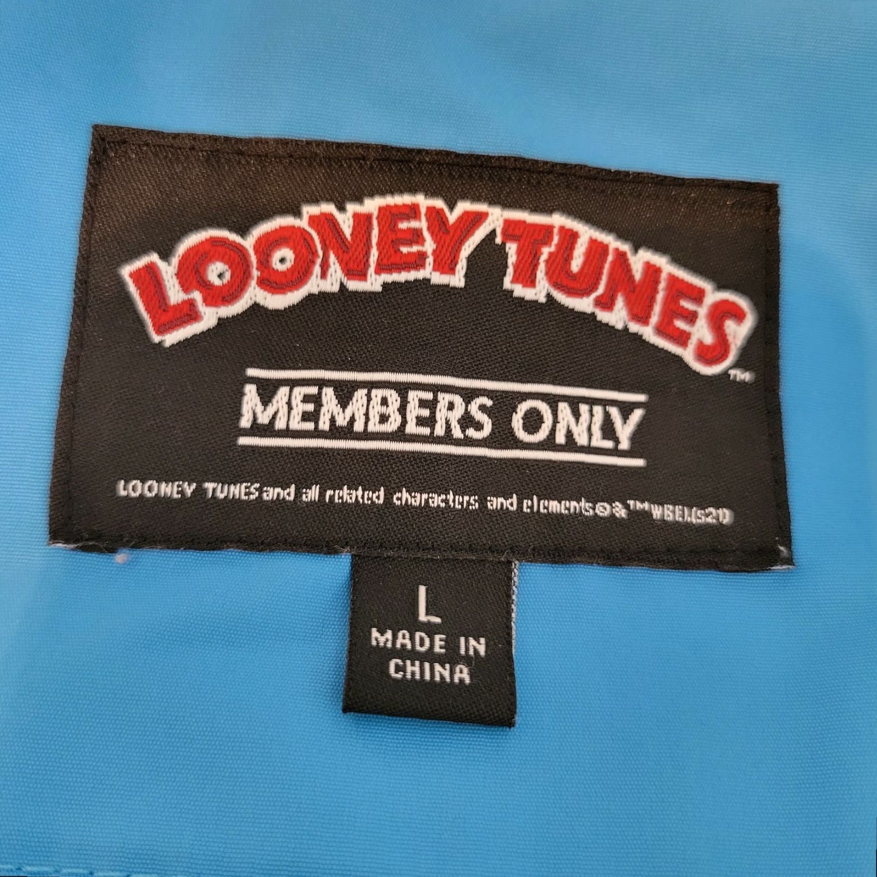 Vintage Looney Tunes Men’s Tune Squad Jacket Lightweight Zip Hooded Sz L Blue Windbreaker MENS Size US L / EU 52-54 / 3 - 3 Thumbnail