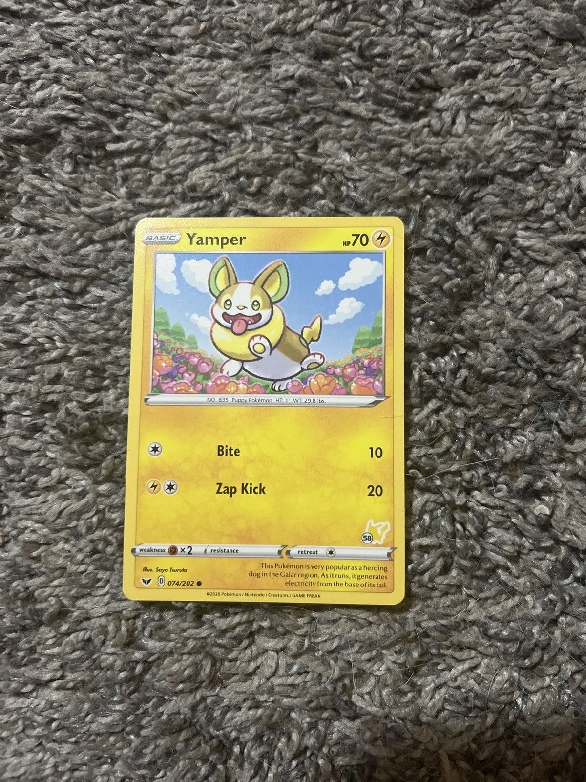 Pokemon 2020 Pokémon Yamper Basic Card Size ONE SIZE - 1 Thumbnail