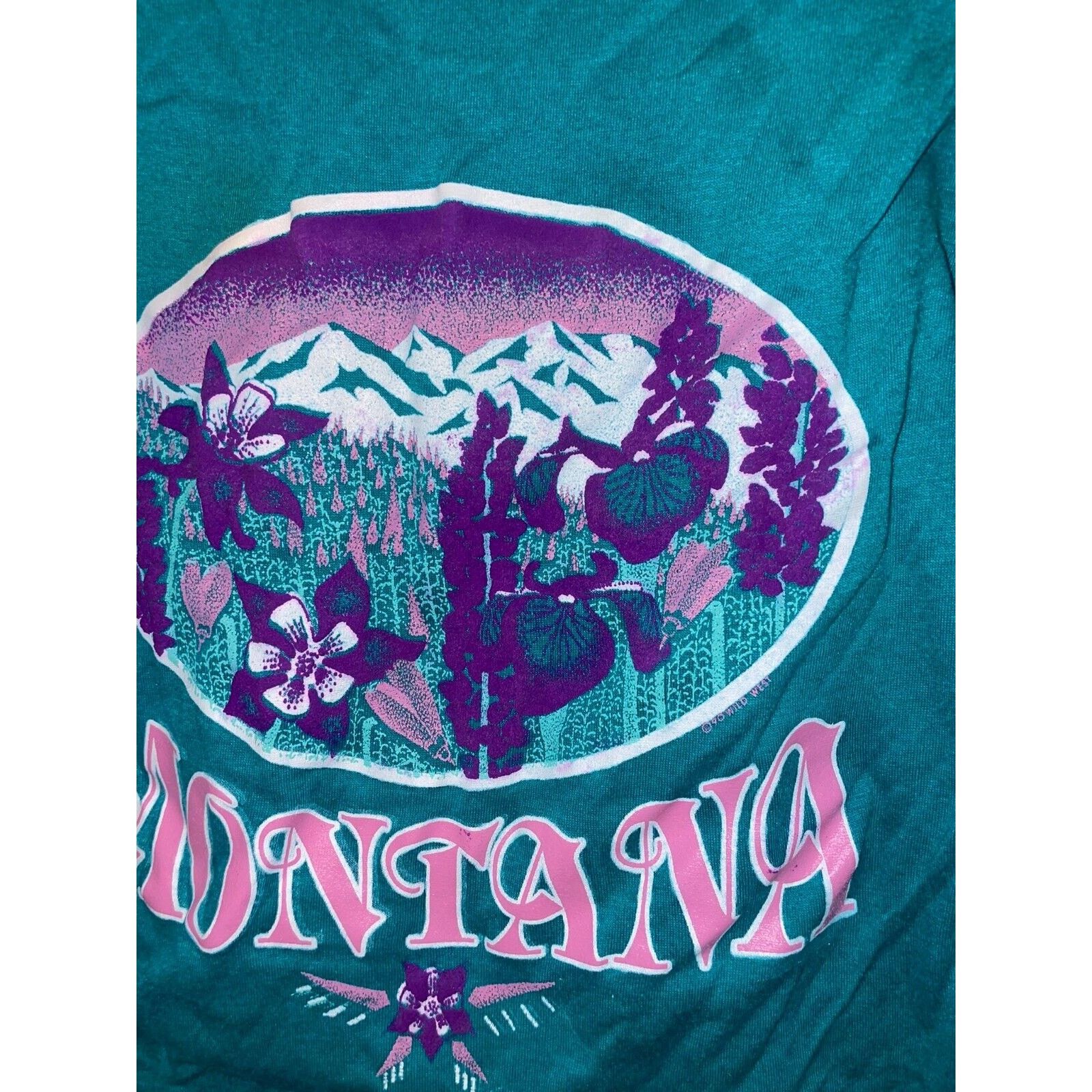 Jerzees 1980s Vintage Jerzees Montana Wildflower Teal Shirt 80s M Size US M / EU 48-50 / 2 - 12 Thumbnail