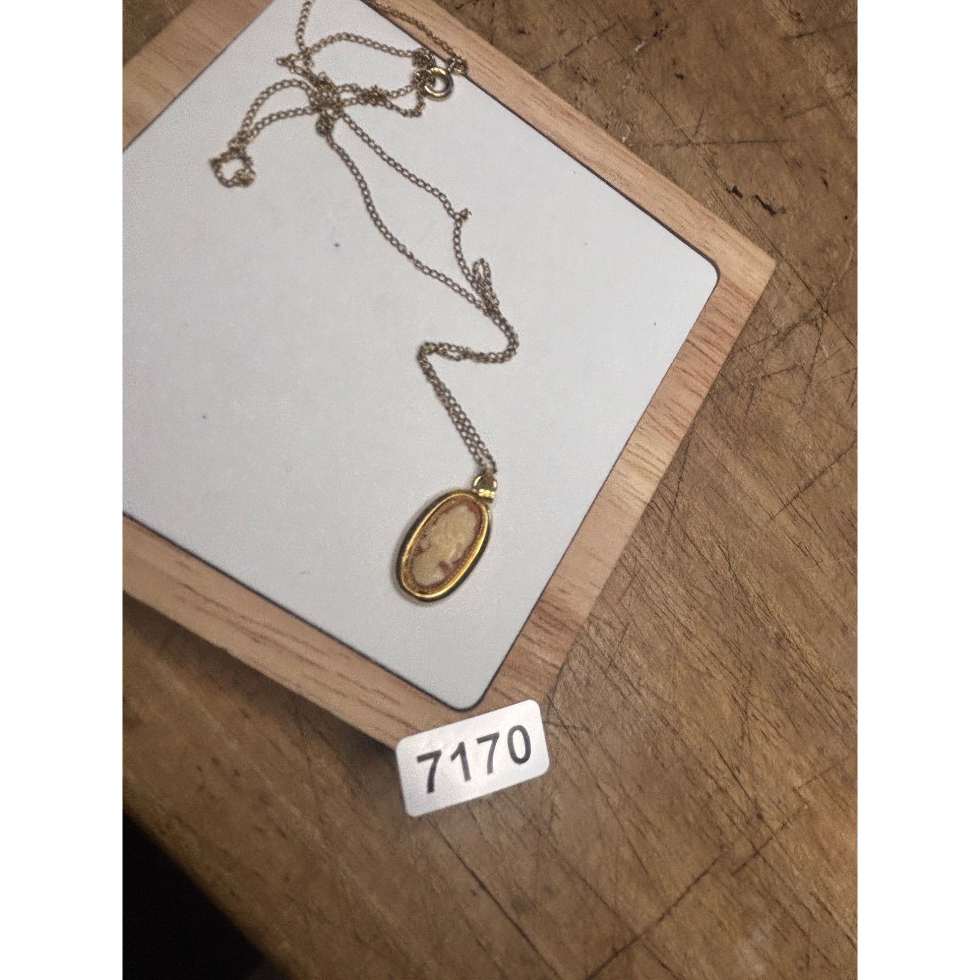 Vintage 12K Gold Cameo Pendant Necklace With Oval Frame & De