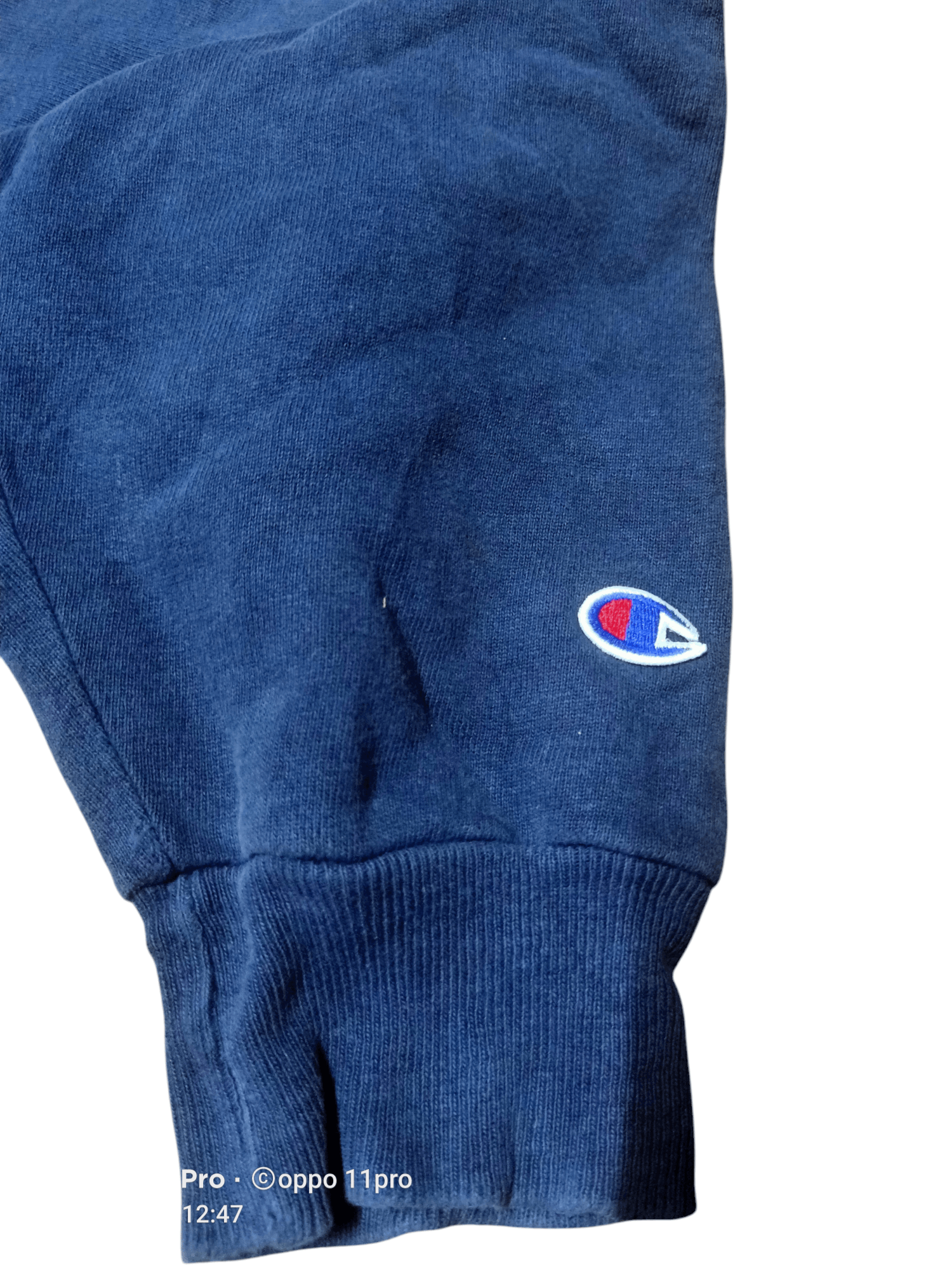 Champion Sweatshirt Vintage Spellout