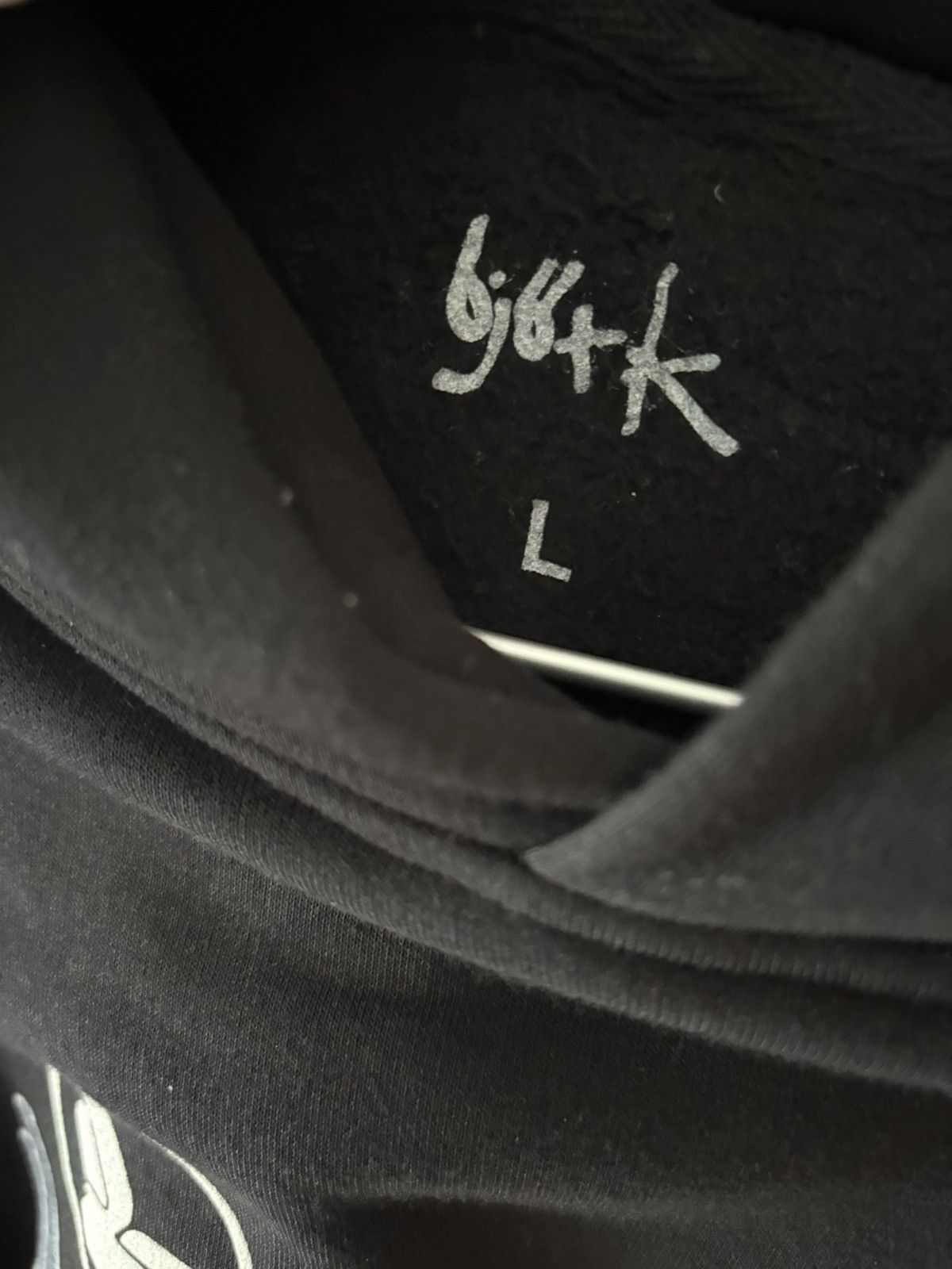 Other Bjork homogenic hoodie Size US L / EU 52-54 / 3 - 4 Thumbnail