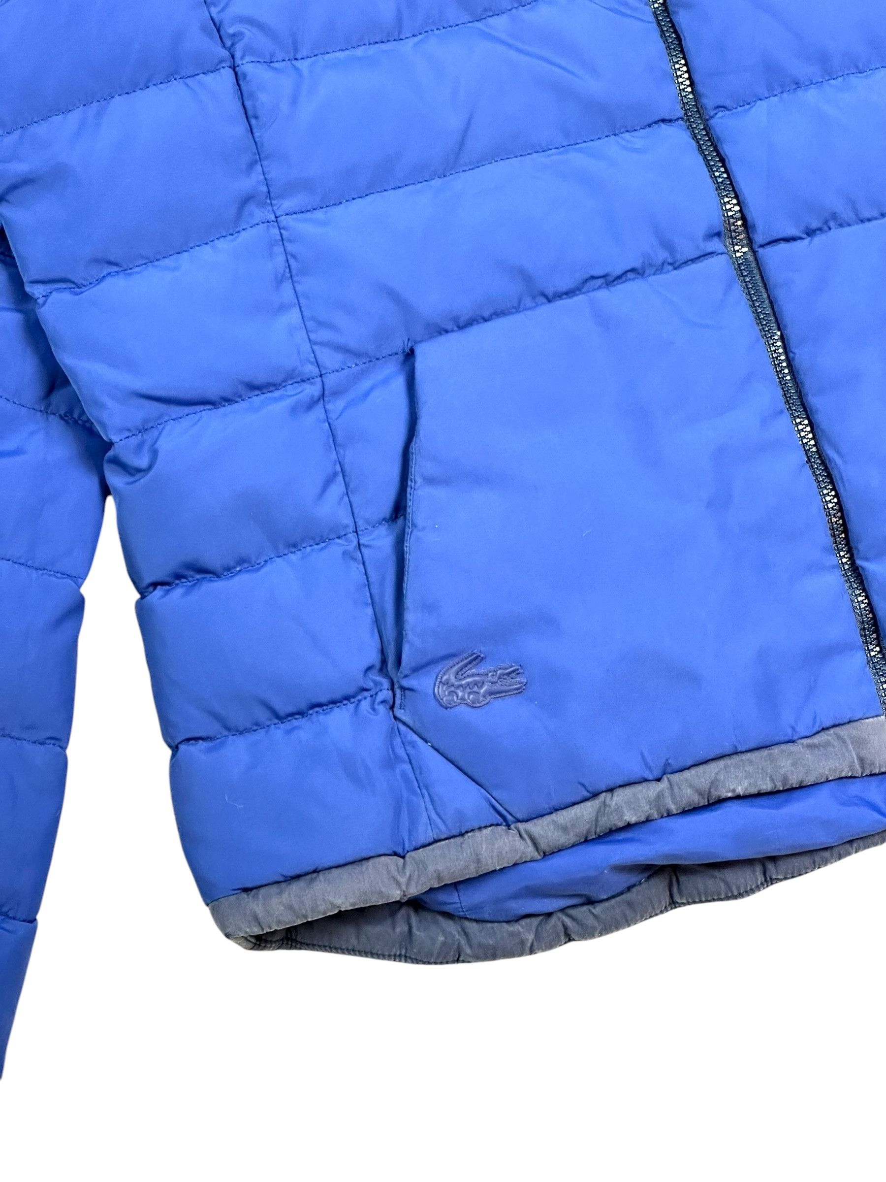 Lacoste Lacoste Blue Crocodile Down Hooded Winter Jacket Size M / US 6-8 / IT 42-44 - 2 Thumbnail