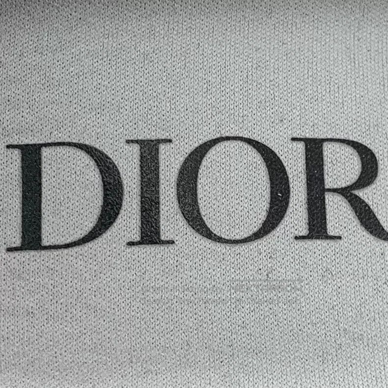 Dior Dior Gray round toe lase casual flat sneakers Size US 8.5 / IT 38.5 - 7 Thumbnail