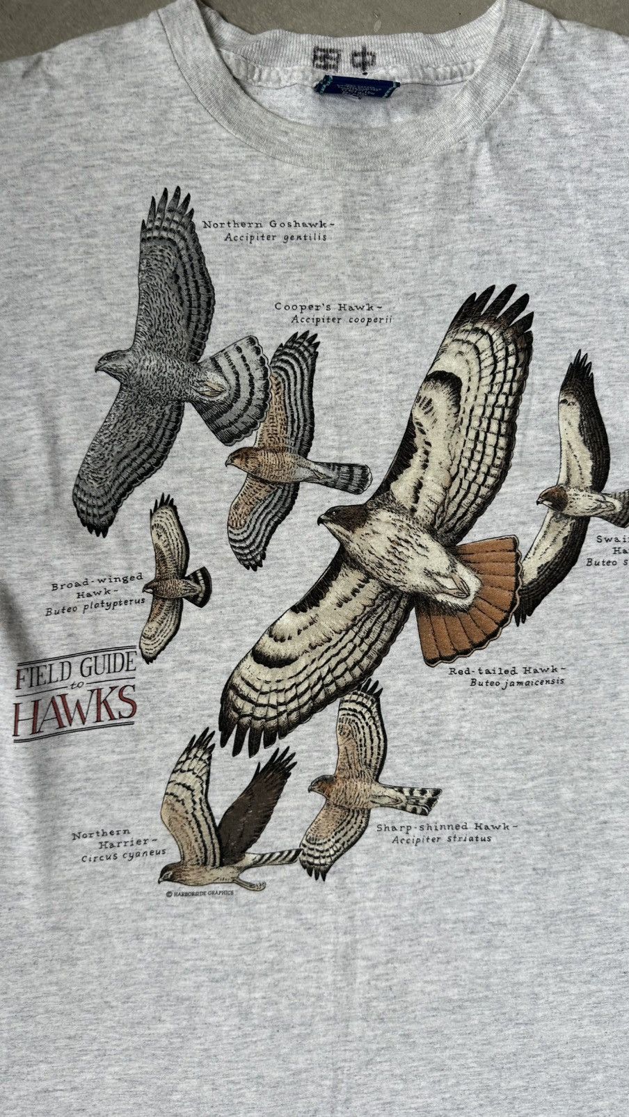 Vintage VINTAGE HAWKS HARBORSIDE TEE Size US M / EU 48-50 / 2 - 2 Thumbnail