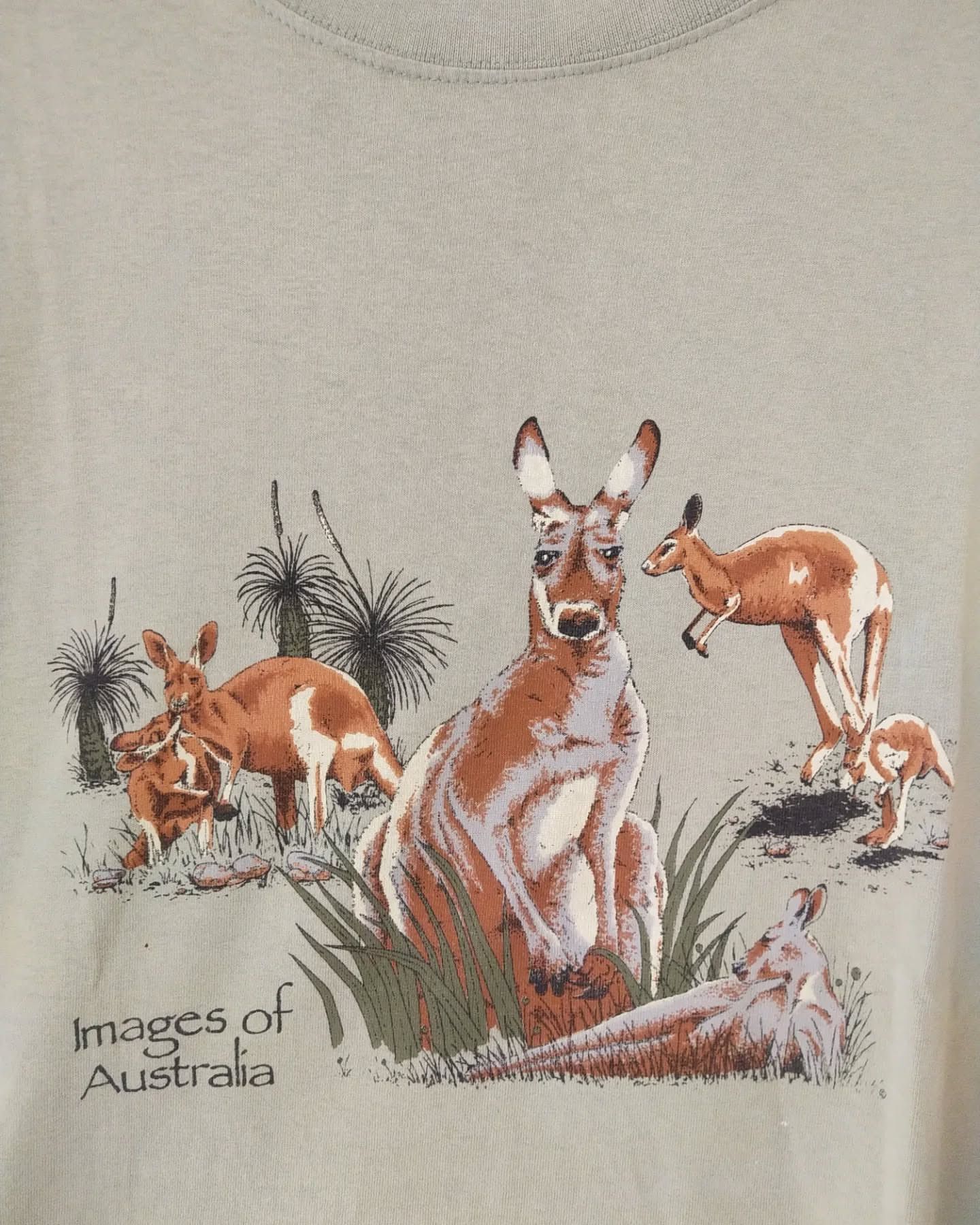Vintage Vintage Australia Kangaroo Graphic Tees Size US L / EU 52-54 / 3 - 2 Thumbnail