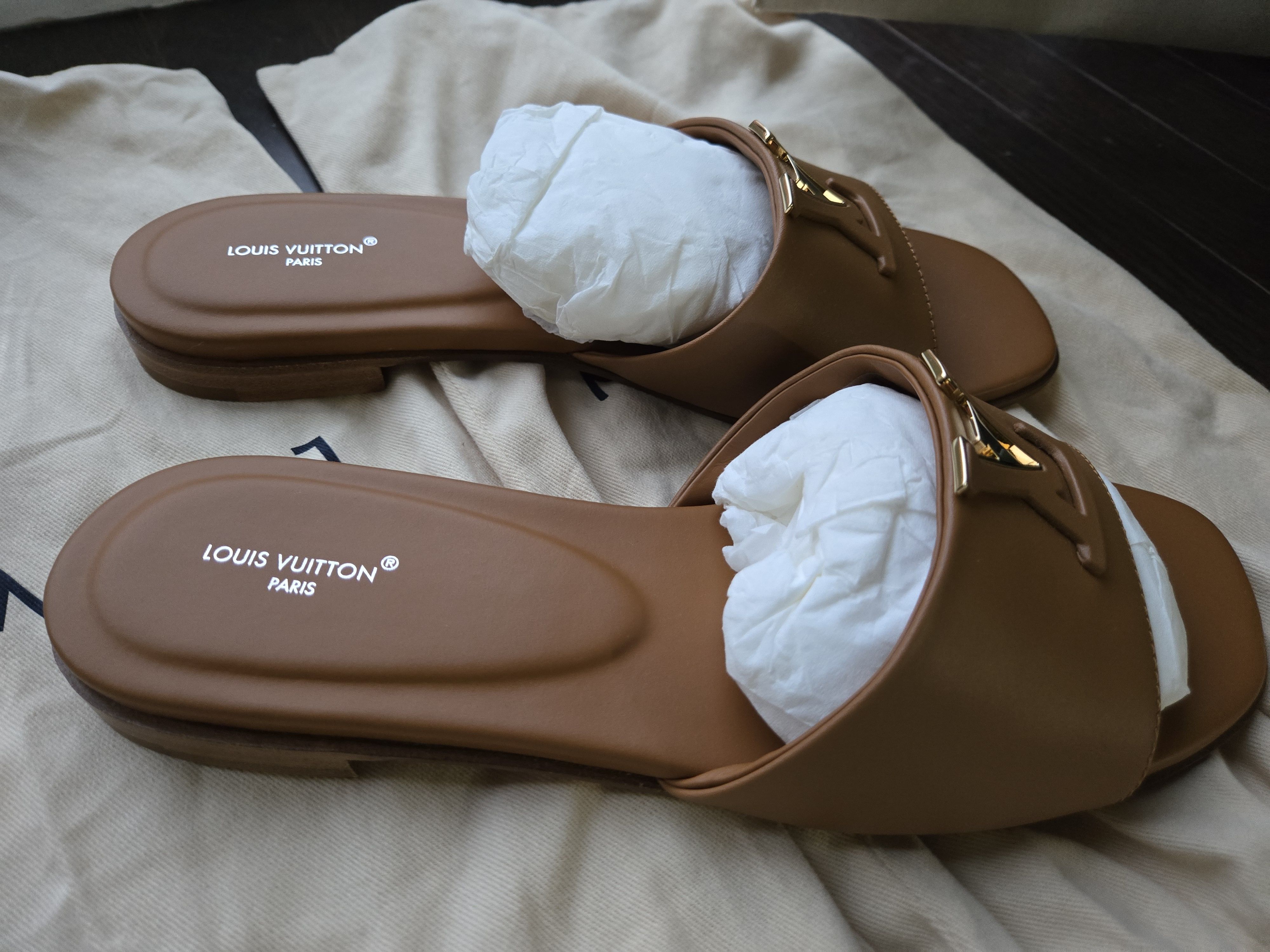 Louis Vuitton LOUIS VUITTON Brand New Size 37 Flats Size US 7 / IT 37 - 8 Thumbnail