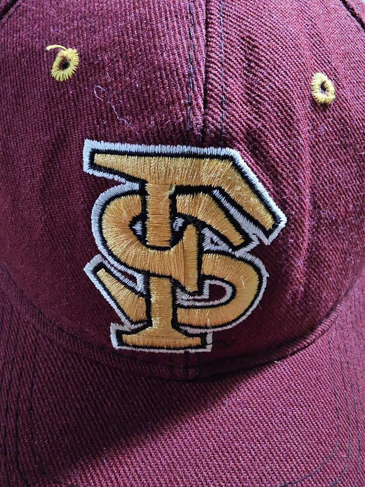 New Era Florida State Seminoles Fitted 7 1/4 Hat Zephyr Graphix DH Size ONE SIZE - 3 Thumbnail