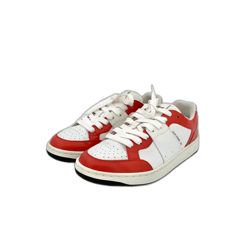 Dior Colorful Embroidered Casual Sneakers