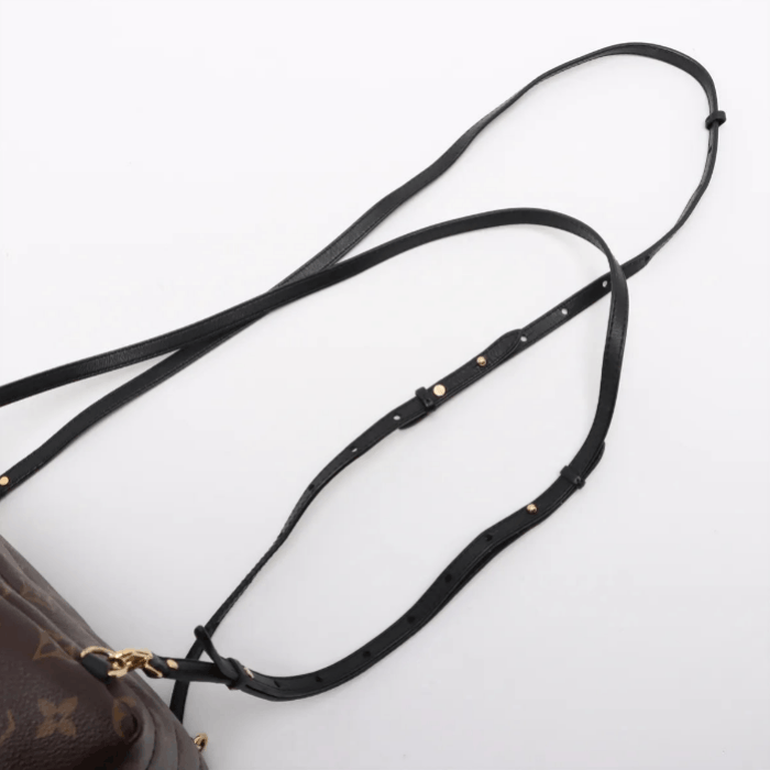 Louis Vuitton Monogram Palm Springs Mini Backpack Size ONE SIZE - 6 Thumbnail