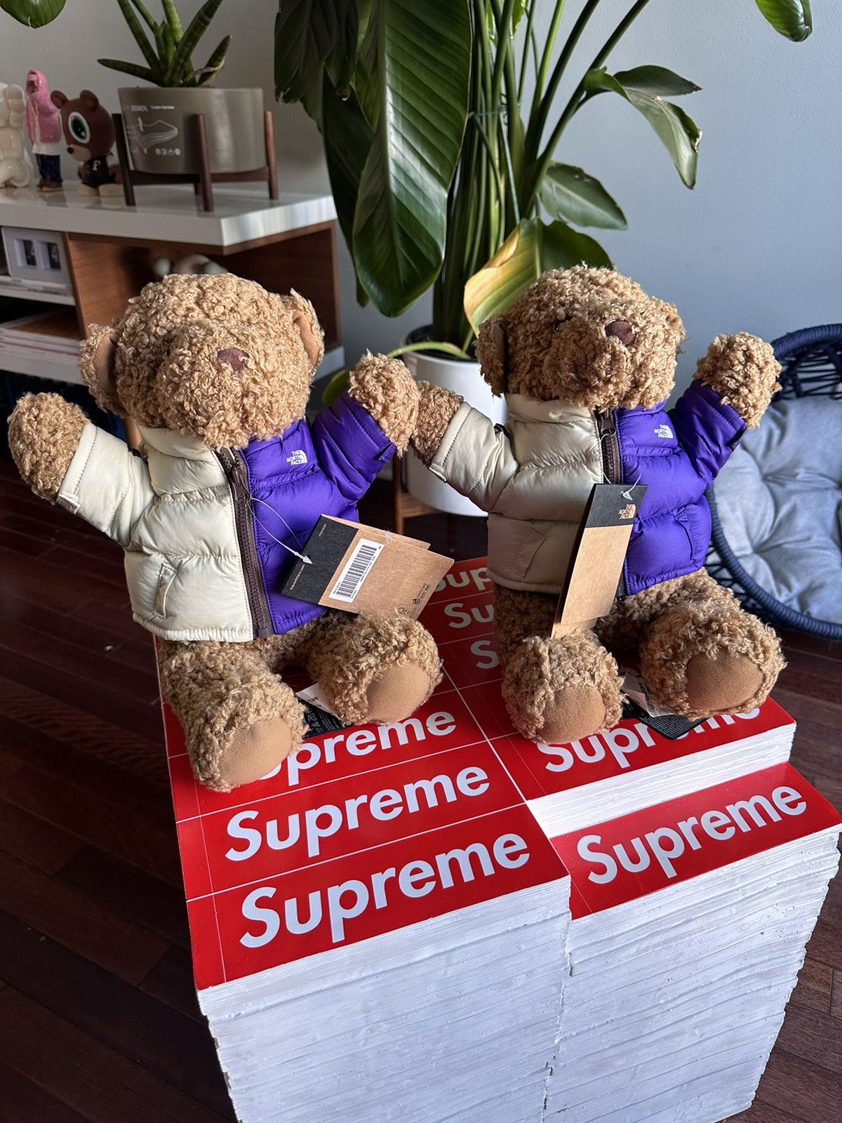ぬいぐるみ Supreme - Supreme The North Face Bear Supreme x The North Face bear teddy bear