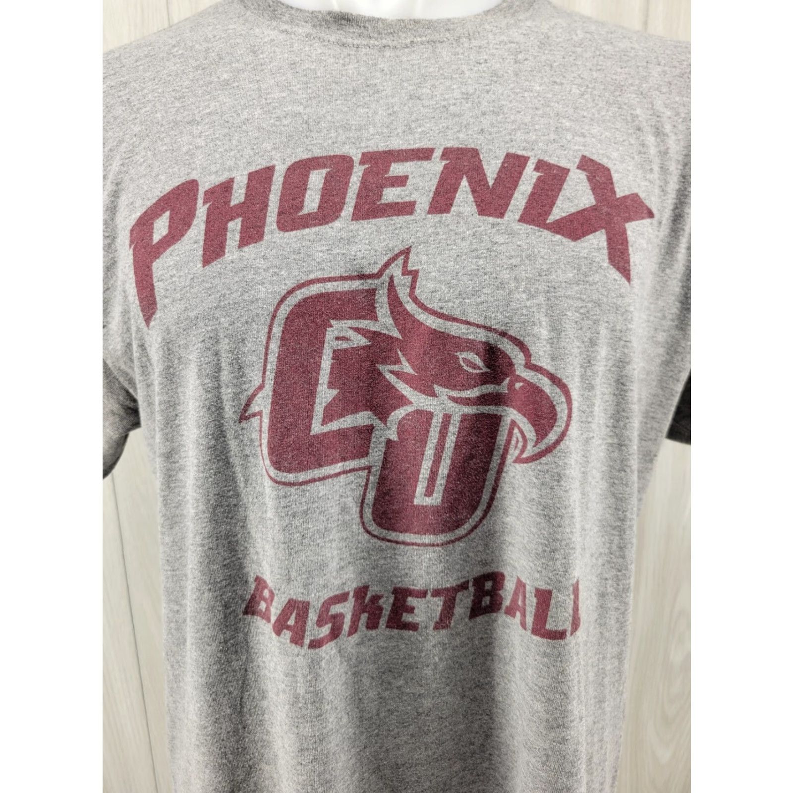 Jerzees Cumberland University Phoenix T-Shirt Gray Size Large Size US L / EU 52-54 / 3 - 2 Thumbnail