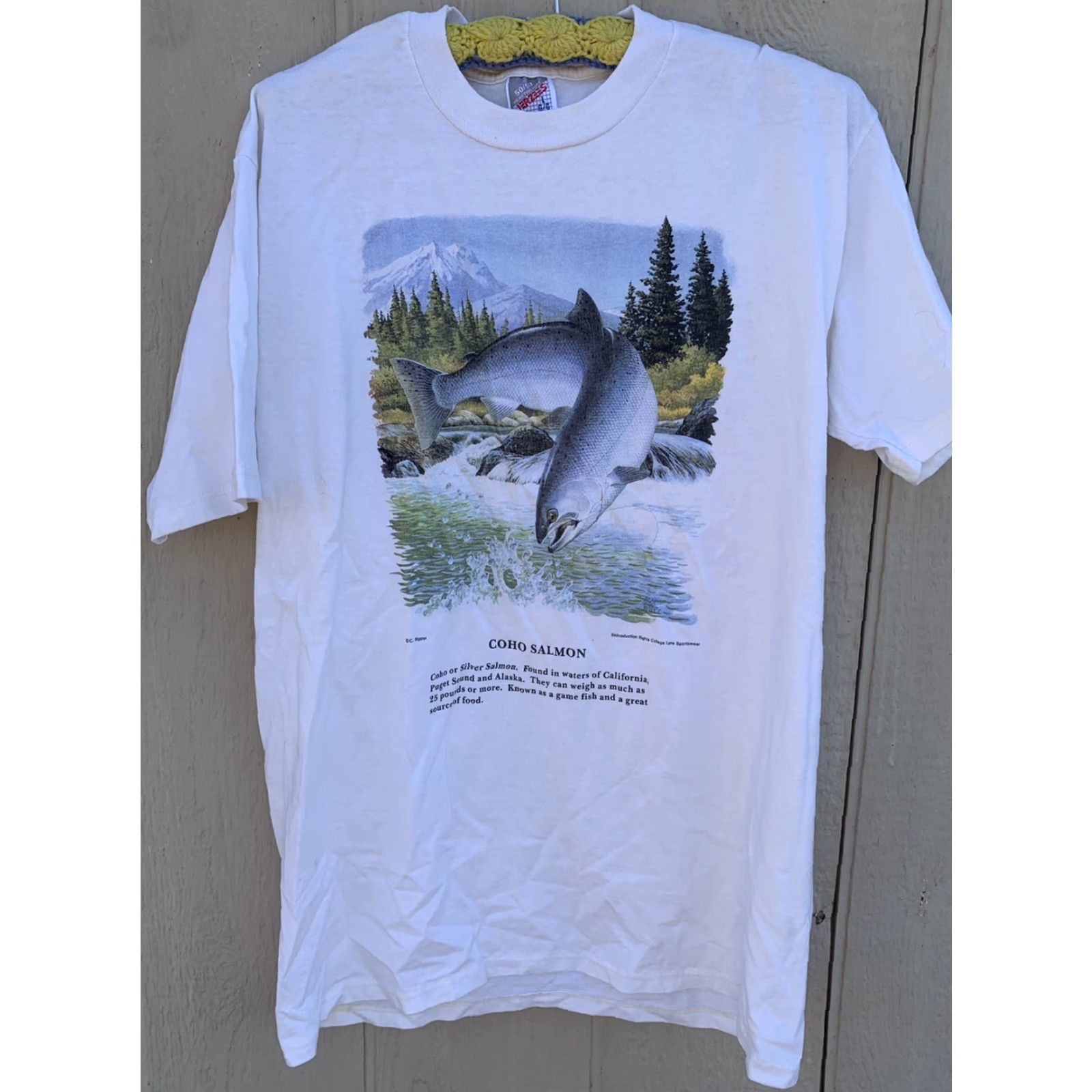 Jerzees VINTAGE Jerzees Coho Salmon T Shirt Men L Graphic Print Crew Neck White 50/50 90s Fish Nature Shirt Size US L / EU 52-54 / 3 - 3 Thumbnail