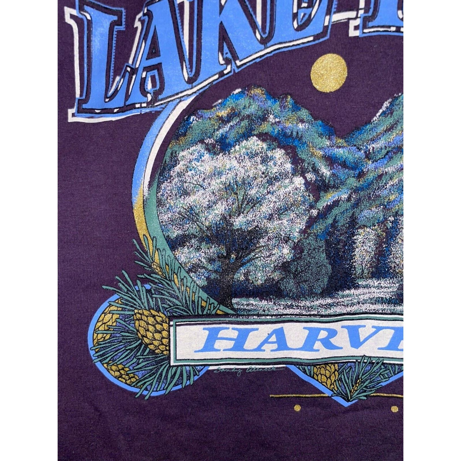 Jerzees Vintage Lake Tahoe Shirt Harveys Tee USA 90s Graphic Large Size US L / EU 52-54 / 3 - 3 Thumbnail