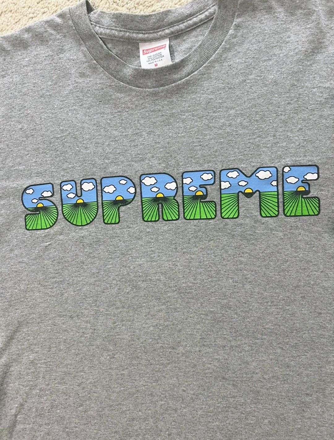 Supreme Supreme This Is The Shit Tee Size US M / EU 48-50 / 2 - 2 Thumbnail