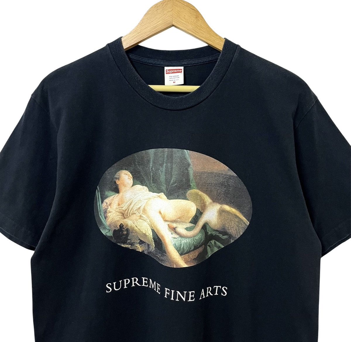 Supreme SUPREME SS19 LEDA AND THE SWAN FINE ARTS SKATEBOARDS TSHIRT Size US M / EU 48-50 / 2 - 3 Thumbnail