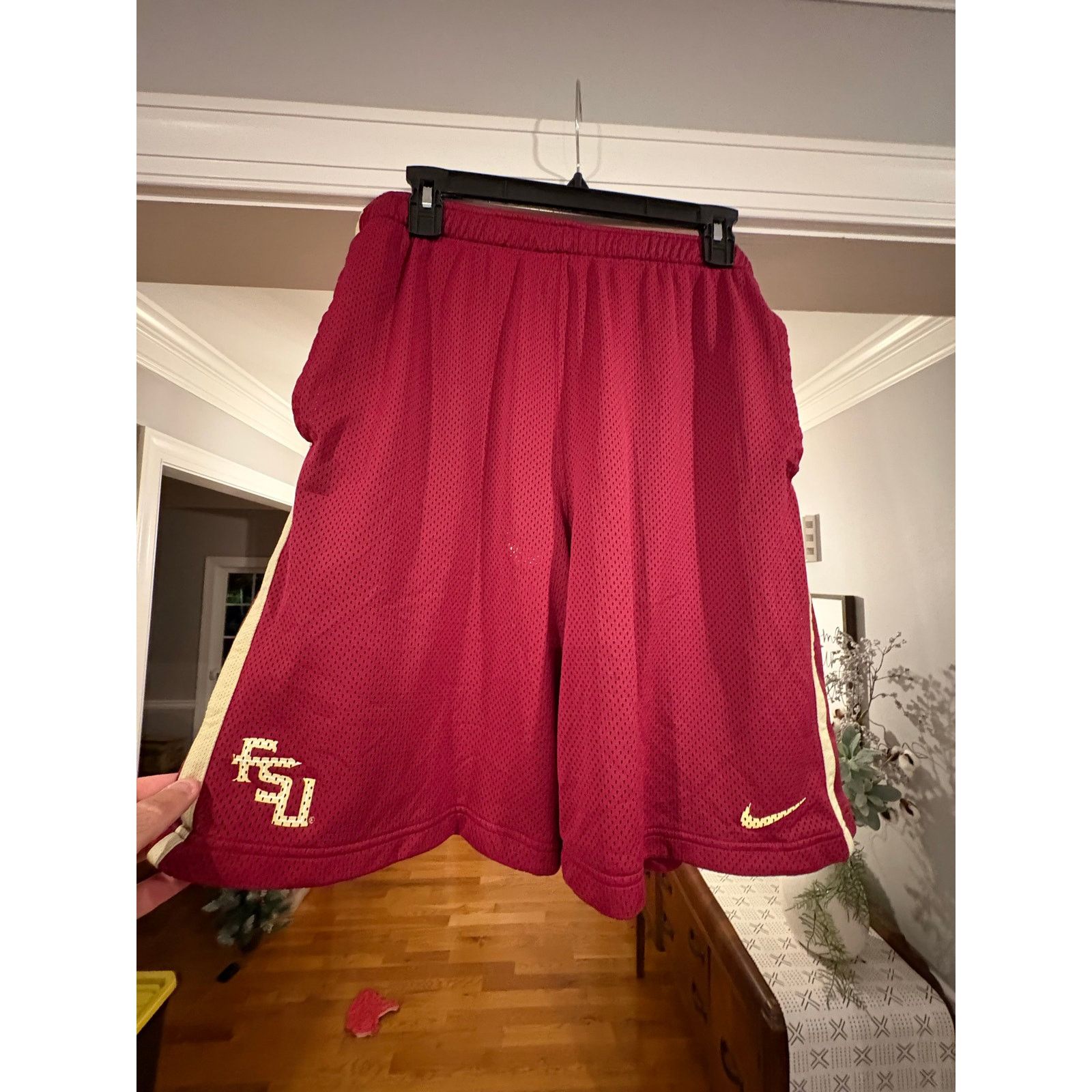 Nike Nike Florida State University Men’s Athletic Shorts Size XL Size US 38 / EU 54 - 3 Thumbnail
