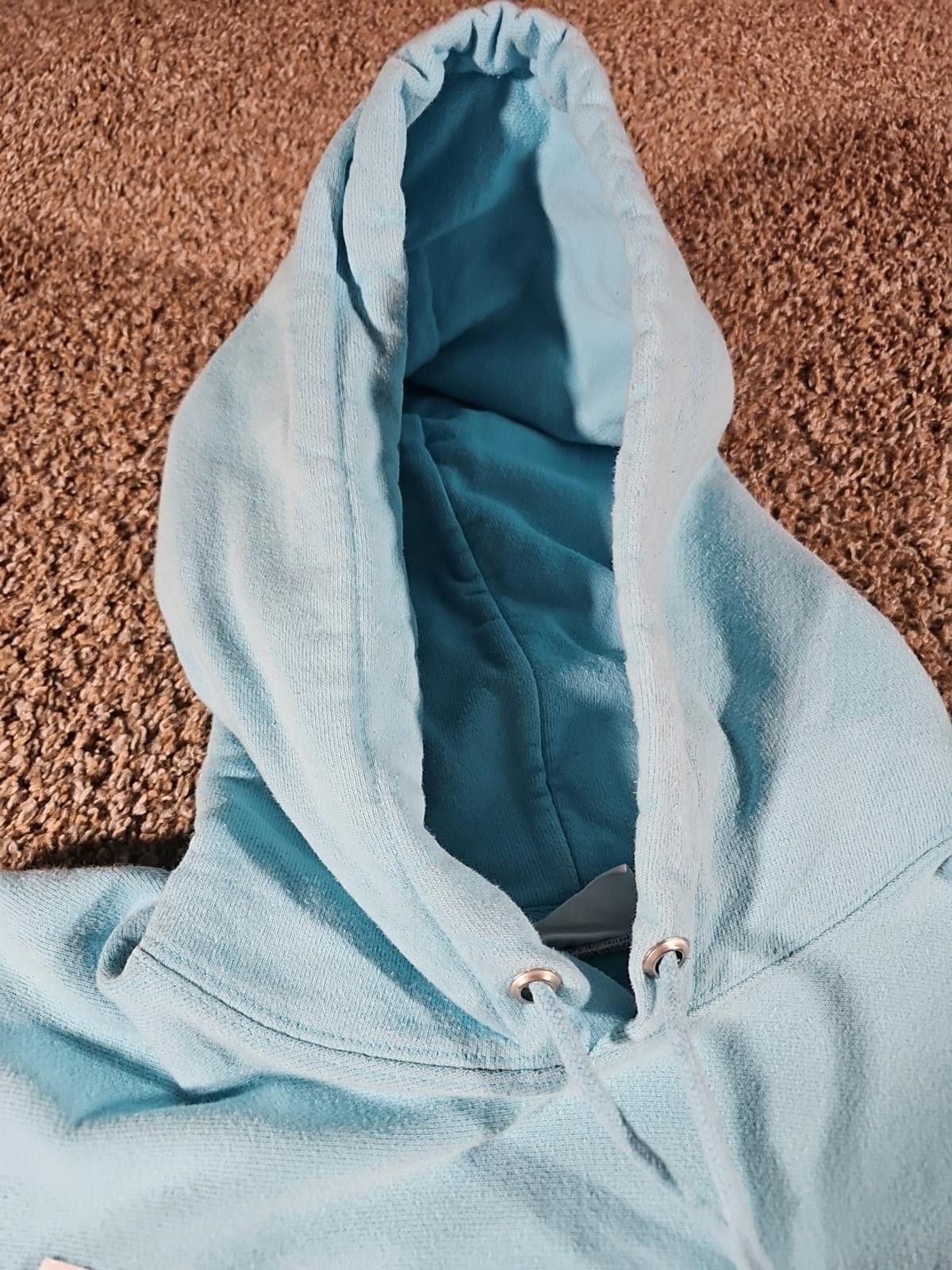 Champion Champion Blue Reverse Weave Hoodie M Size US M / EU 48-50 / 2 - 3 Thumbnail