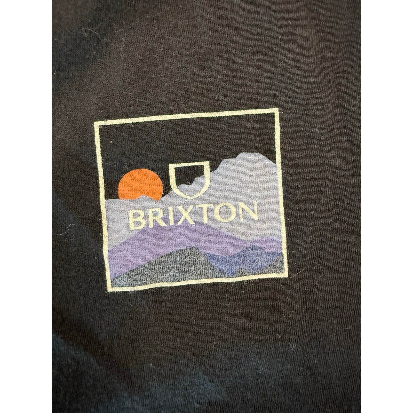 Brixton Brixton Black Organic Cotton Graphic T-Shirt Size L Size US L / EU 52-54 / 3 - 2 Thumbnail