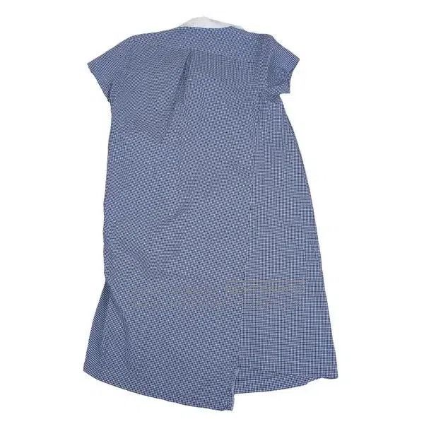 Comme des Garcons Comme Des Garcons Blue Vintage Plaid Dress Size S / US 4 / IT 40 - 3 Thumbnail