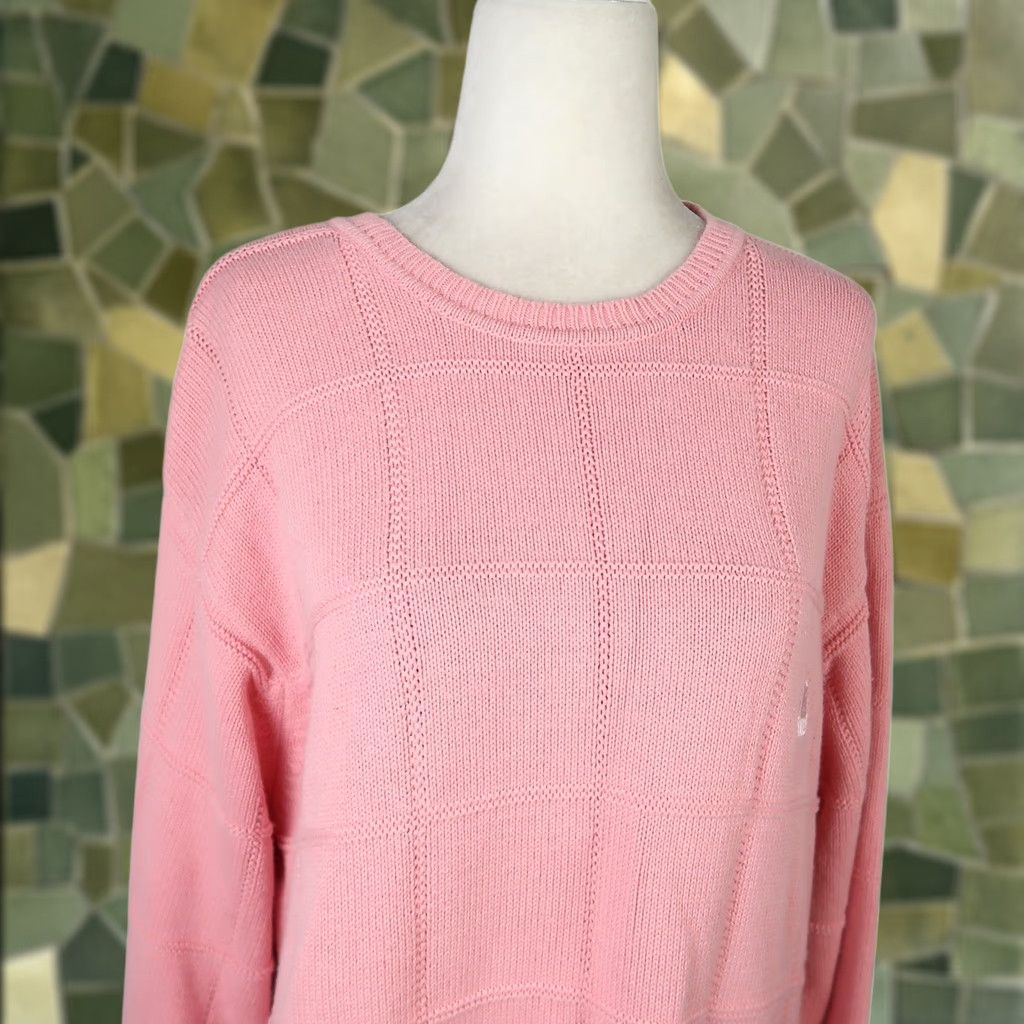 Izod VINTAGE Izod Pink Cotton Grid Pullover Sweater Womens Large 90s Knit Crew Neck Long Sleeve Casual Sweater Mens? Size L / US 10 / IT 46 - 1 Thumbnail
