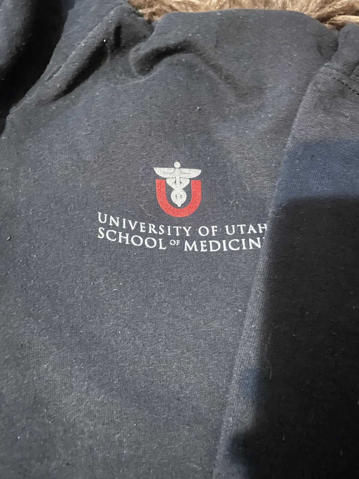 Champion Champion University Hoodie Size US L / EU 52-54 / 3 - 2 Thumbnail