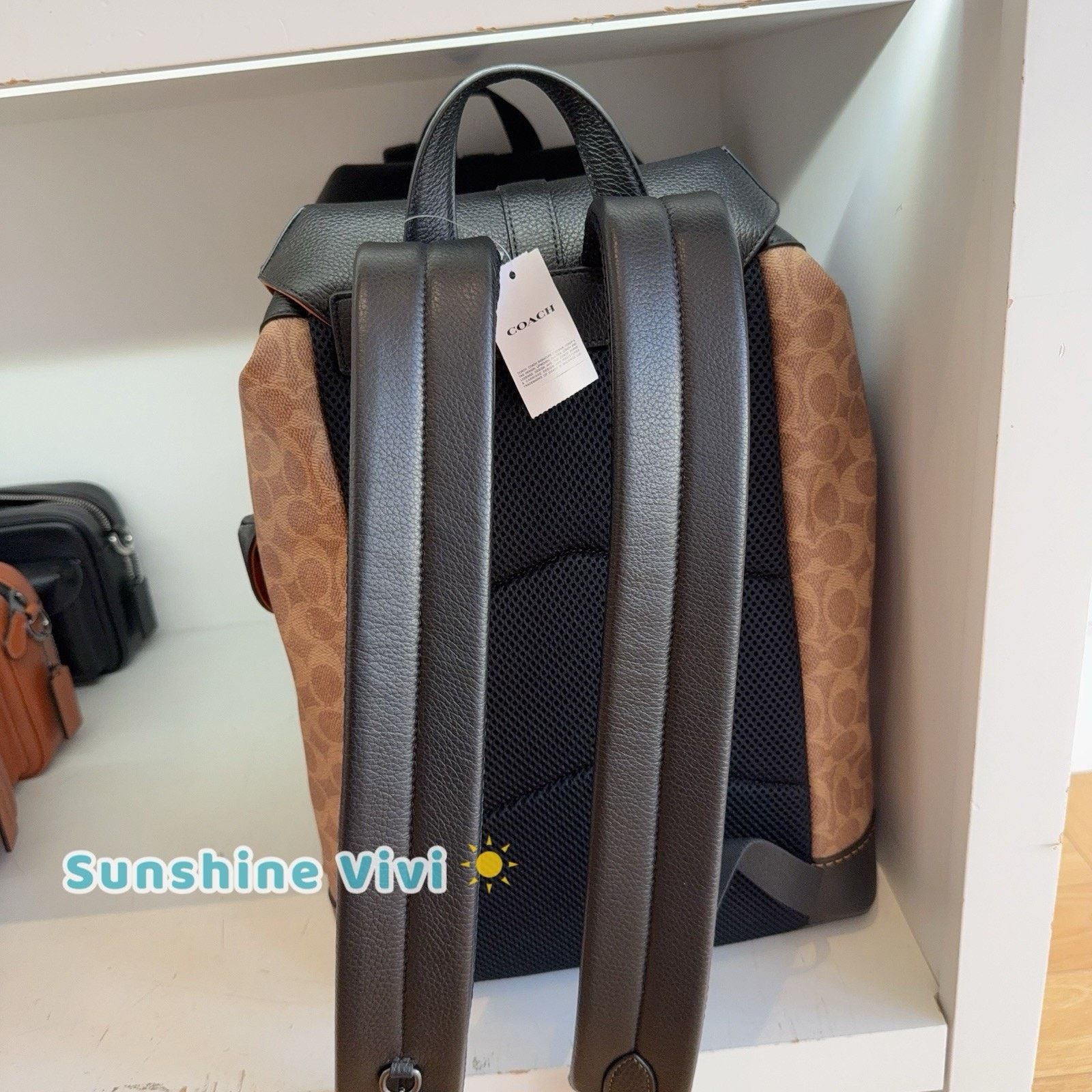 Coach NWT Coach CW211 Warner Tan Large Backpack QB/Tan/Black Size ONE SIZE - 2 Thumbnail