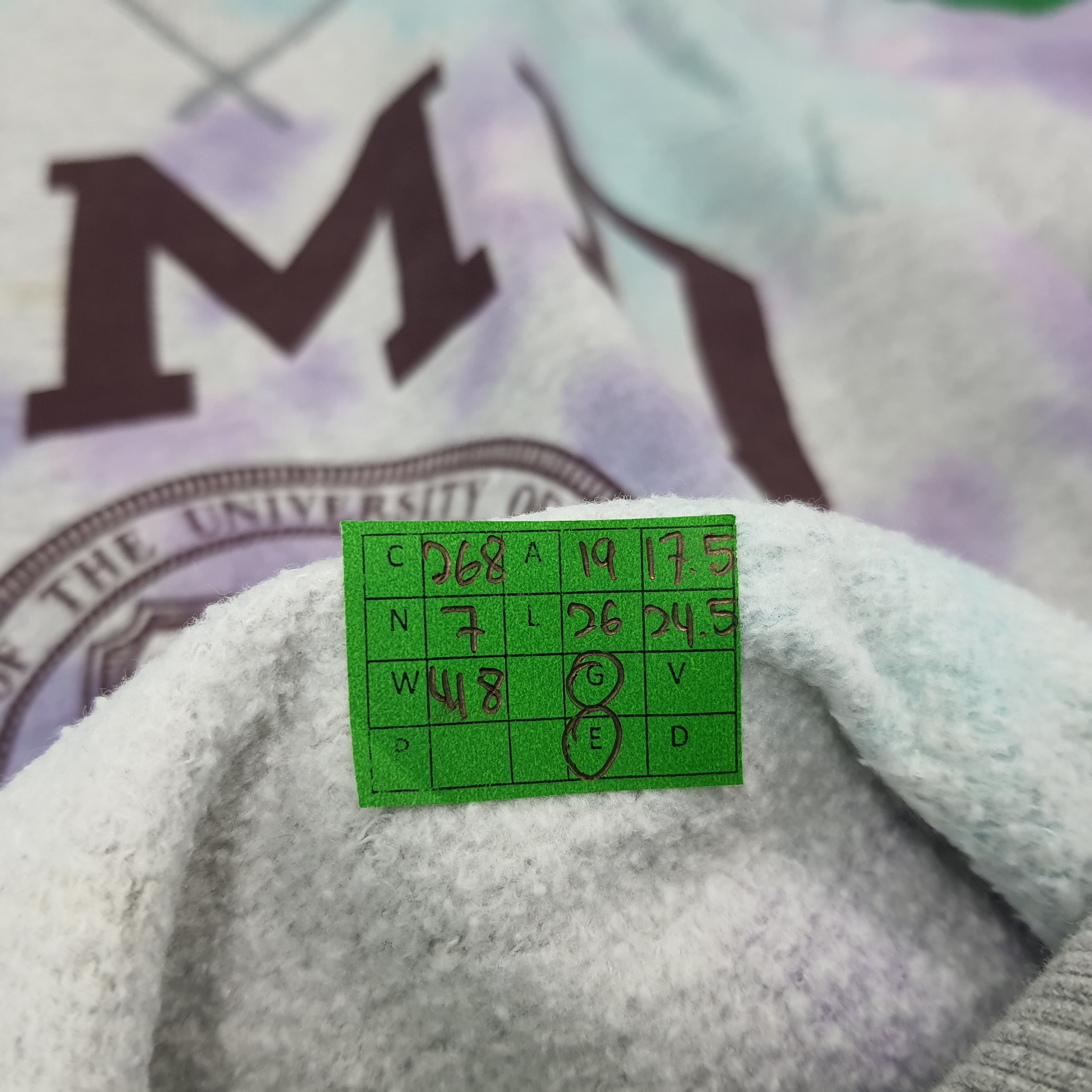Champion Vintage Champion University of Minnesota Sweatshirt C268N7 Size US S / EU 44-46 / 1 - 10 Thumbnail