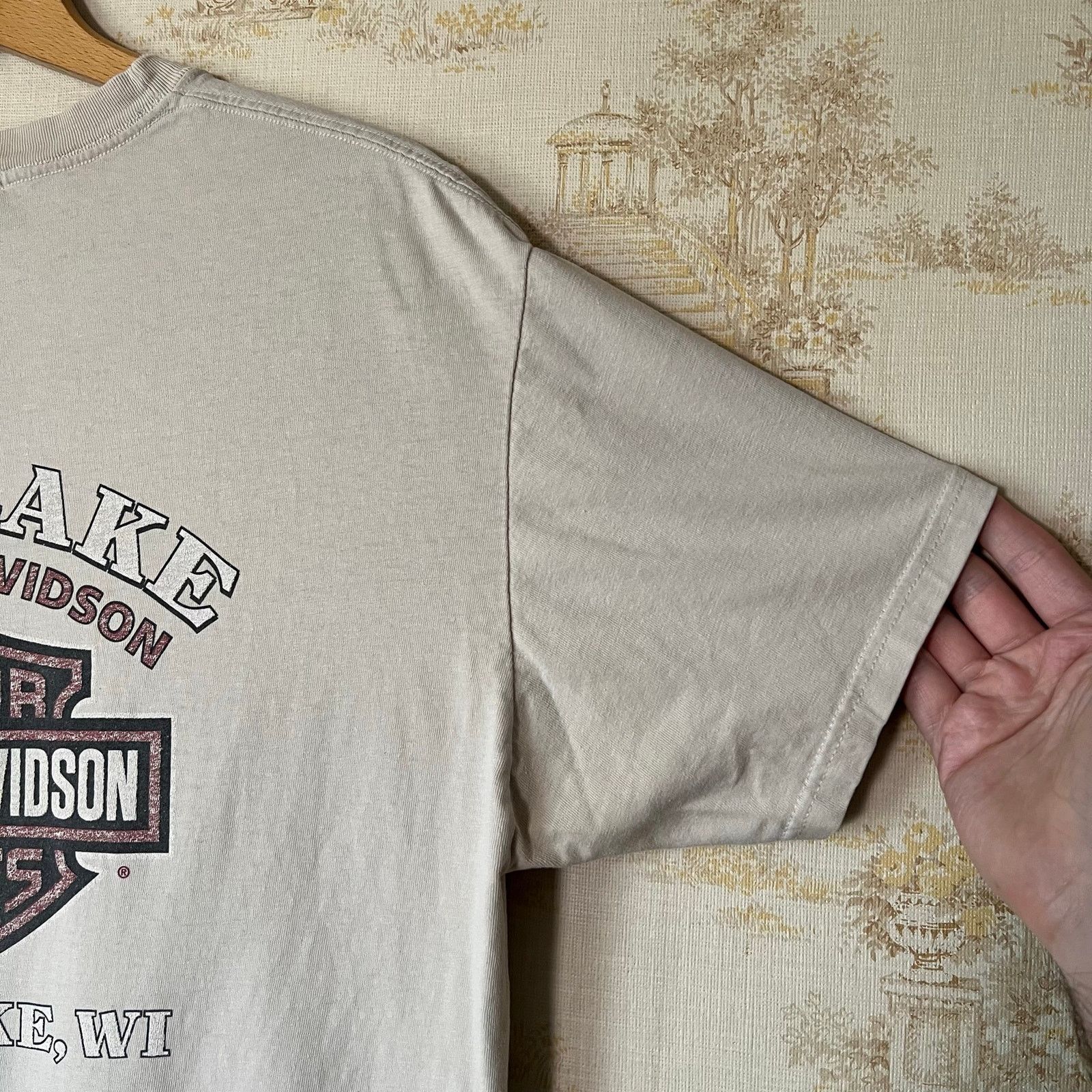 Harley Davidson 00s Distressed Harley Davidson T-Shirt | Rice Lake Wisconsin Size US L / EU 52-54 / 3 - 13 Thumbnail