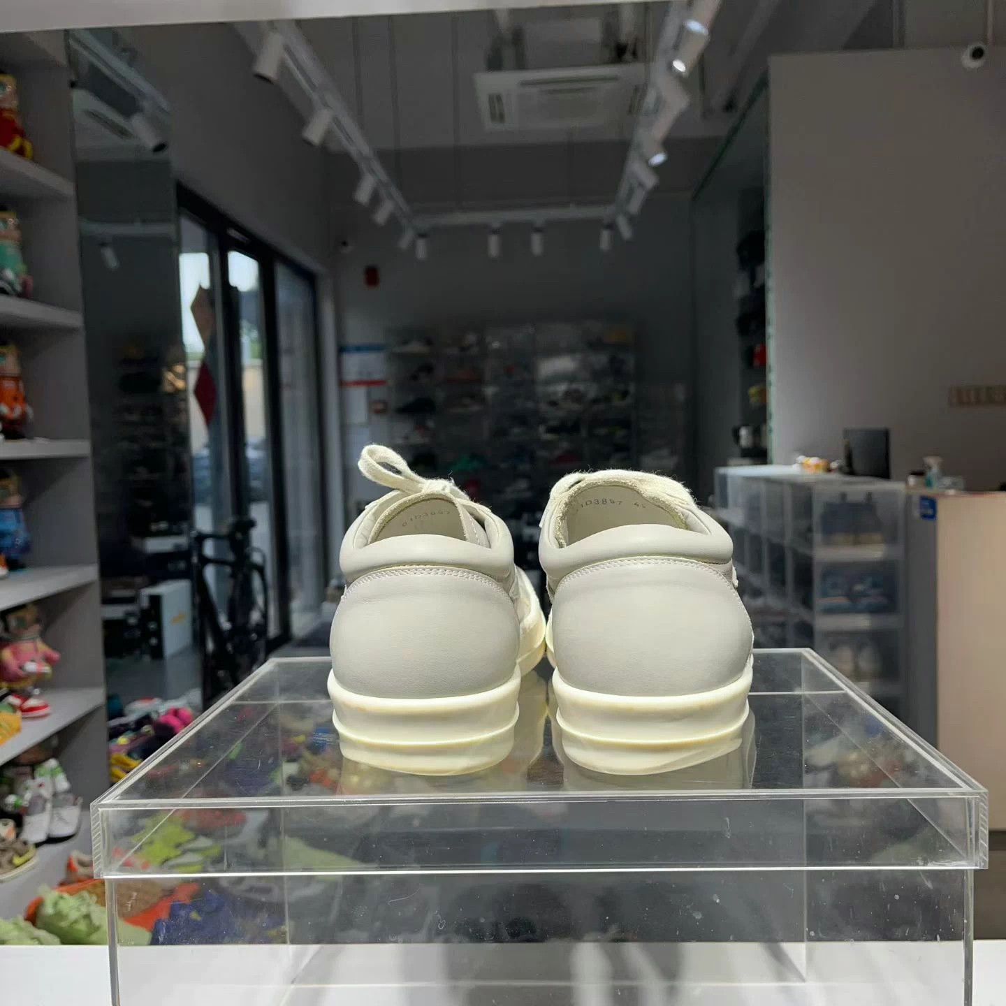 Rick Owens rick owens low top sneakers Size US 9 / EU 42 - 3 Thumbnail