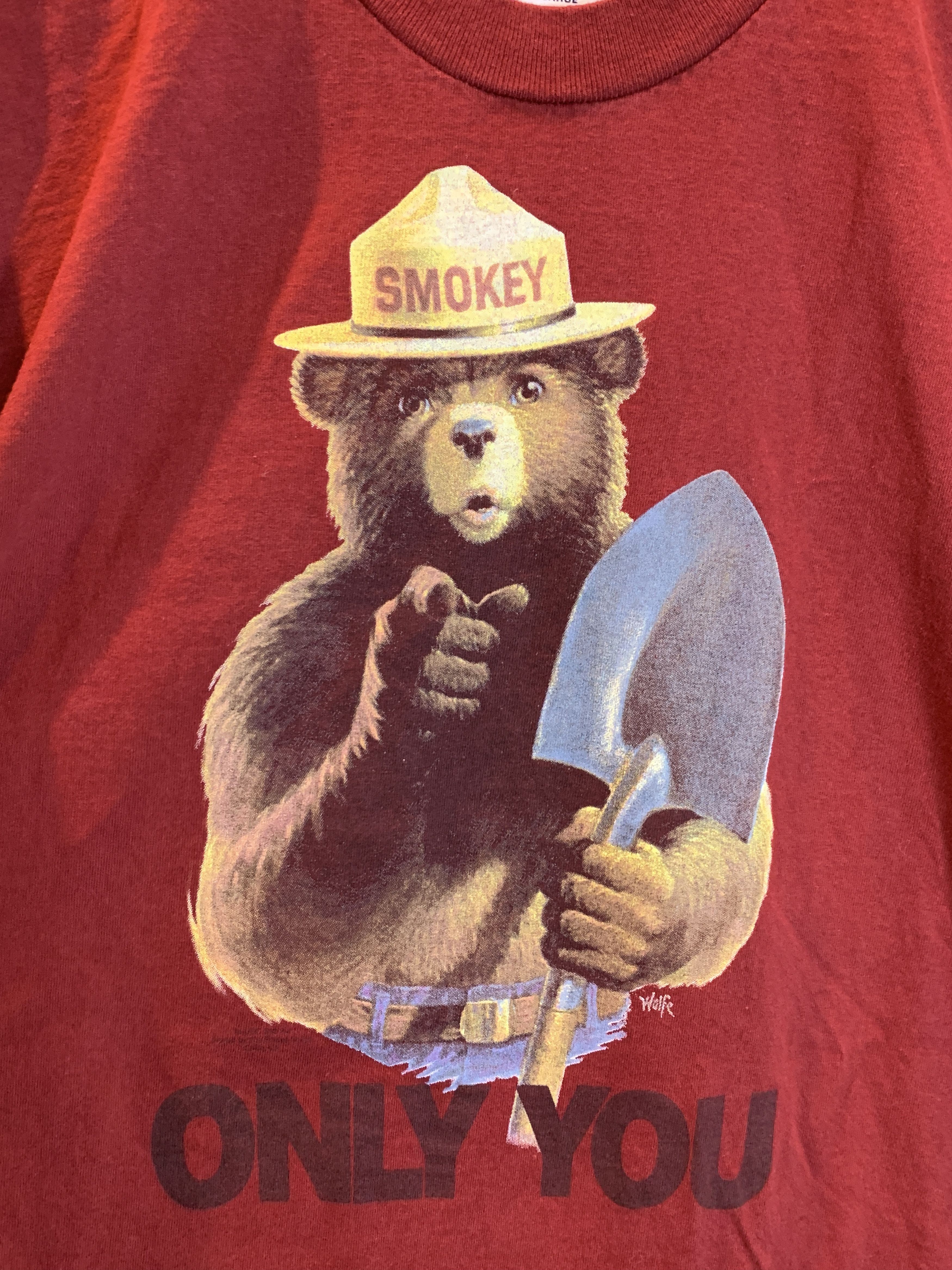 Vintage *RARE* Vintage 90’s Smokey The Bear Only You Forest T-Shirt Size US L / EU 52-54 / 3 - 3 Thumbnail