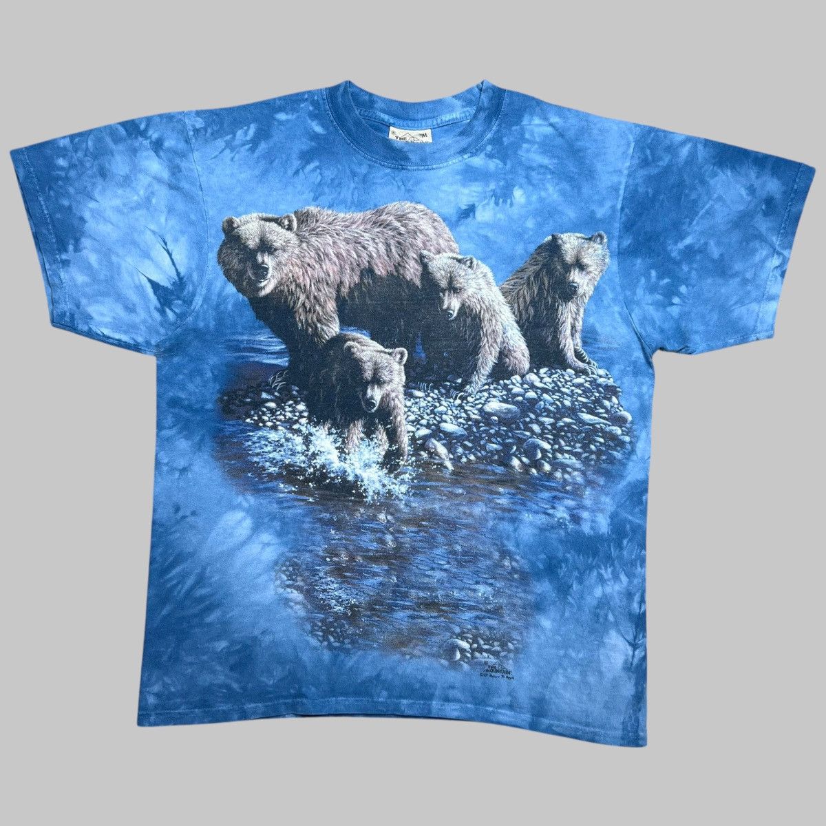 The Mountain × Vintage Vintage 2001 Brown Bears Nature The Mountain Graphic Tee Size US M / EU 48-50 / 2 - 1 Thumbnail