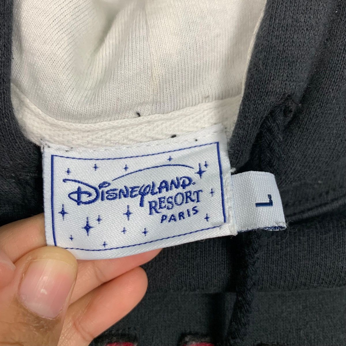 Disney DISNEYLAND RESORT GRUMPY Big Logo Hoodie Pullover #2666-C119 Size US L / EU 52-54 / 3 - 15 Thumbnail