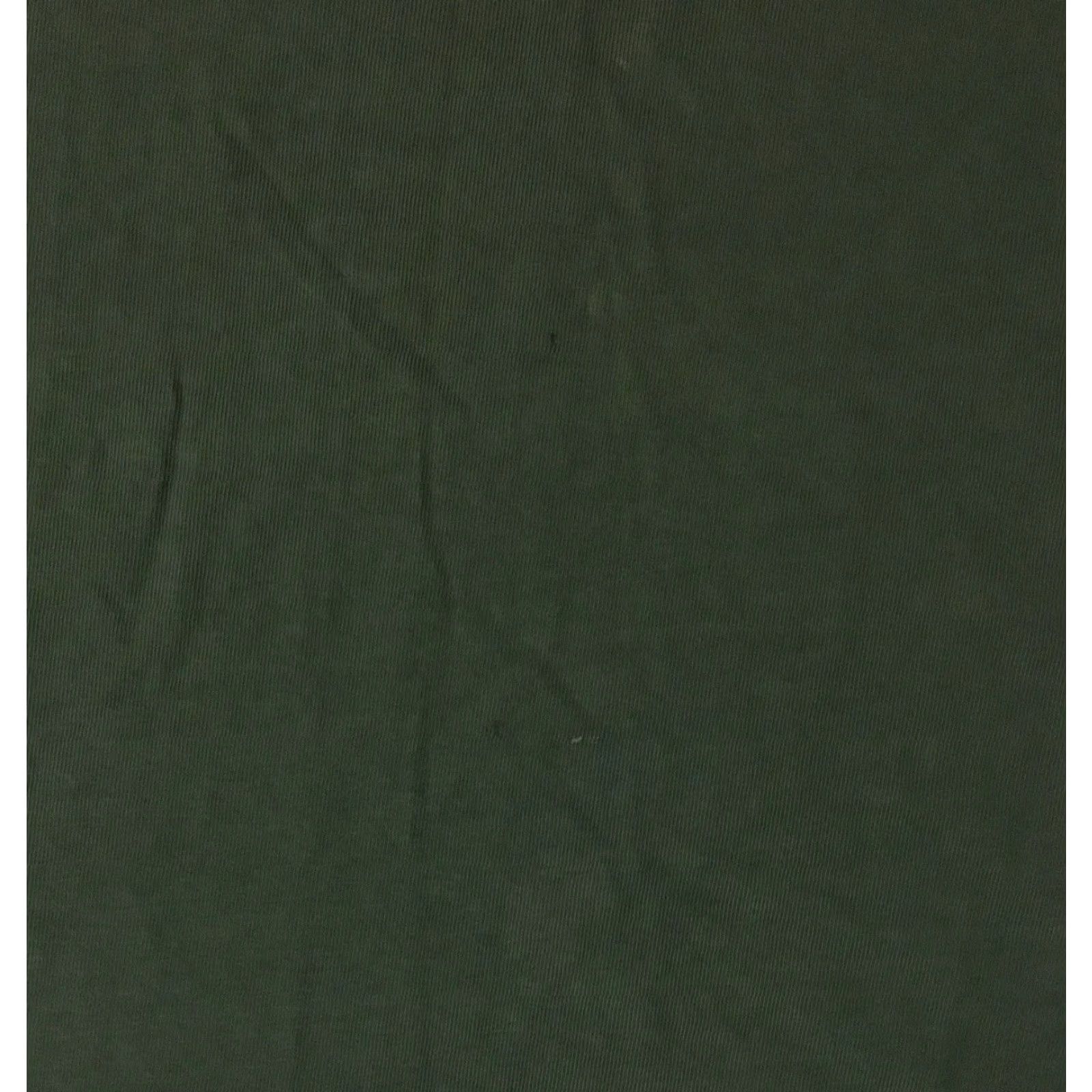 Champion VINTAGE Champion Shirt Mens L Green 90s Distressed Spellout Grunge Punk Skate Surf Casual Tee Size US L / EU 52-54 / 3 - 5 Thumbnail