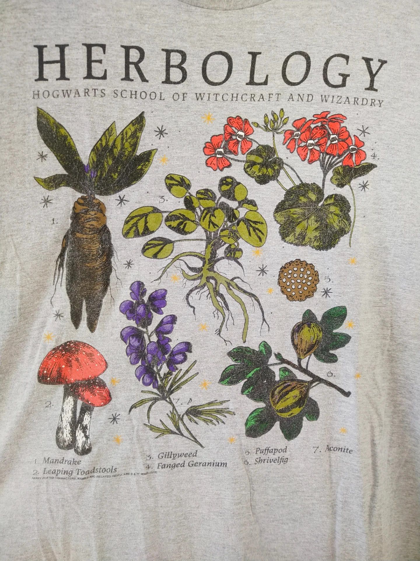 Vintage Harry Potter Herbology Art Movie Tee Size US XXL / EU 58 / 5 - 2 Thumbnail